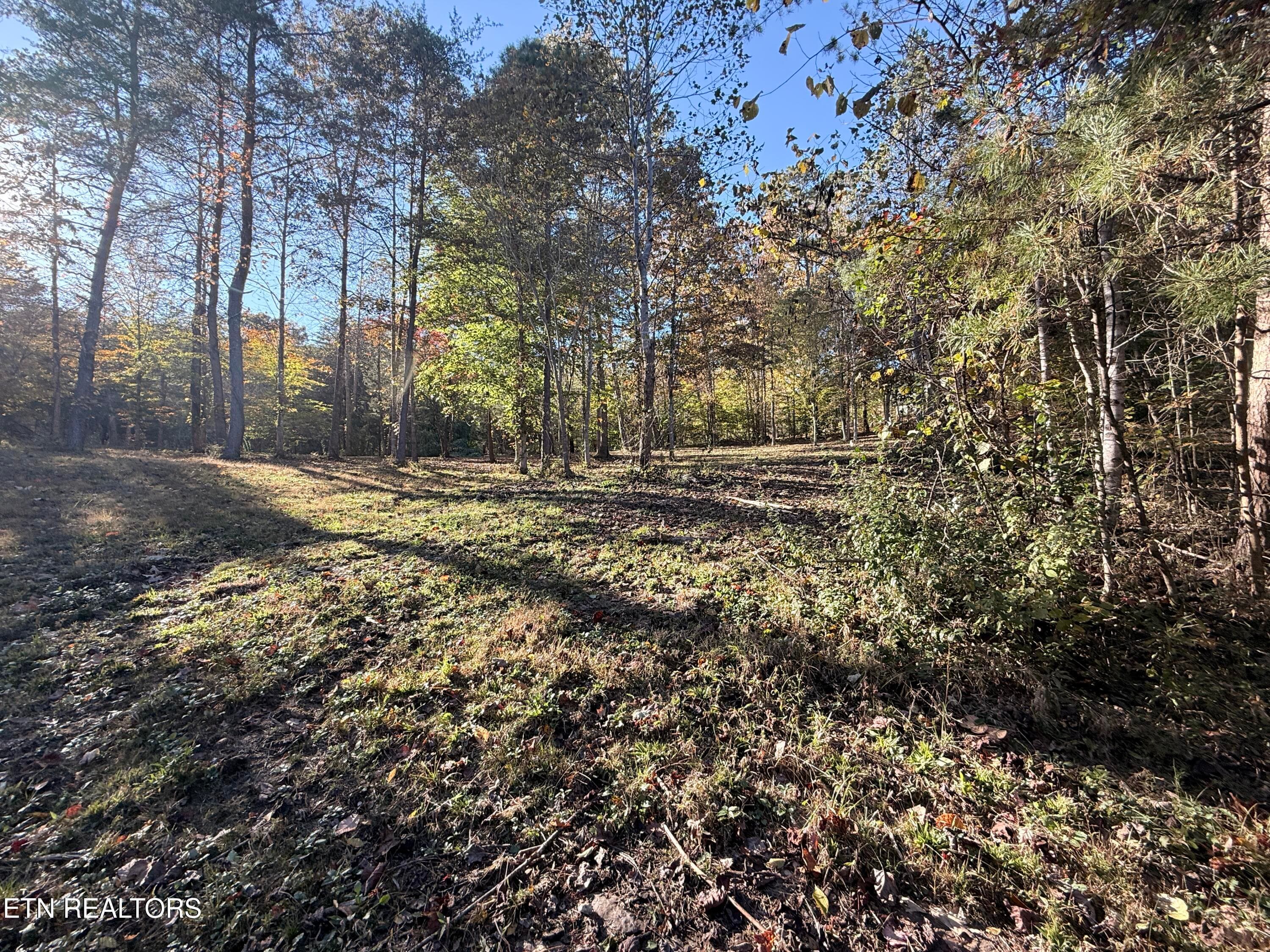 Lower Property - 444 Roses Creek Rd, Clairfield, TN 37715, Clairfield