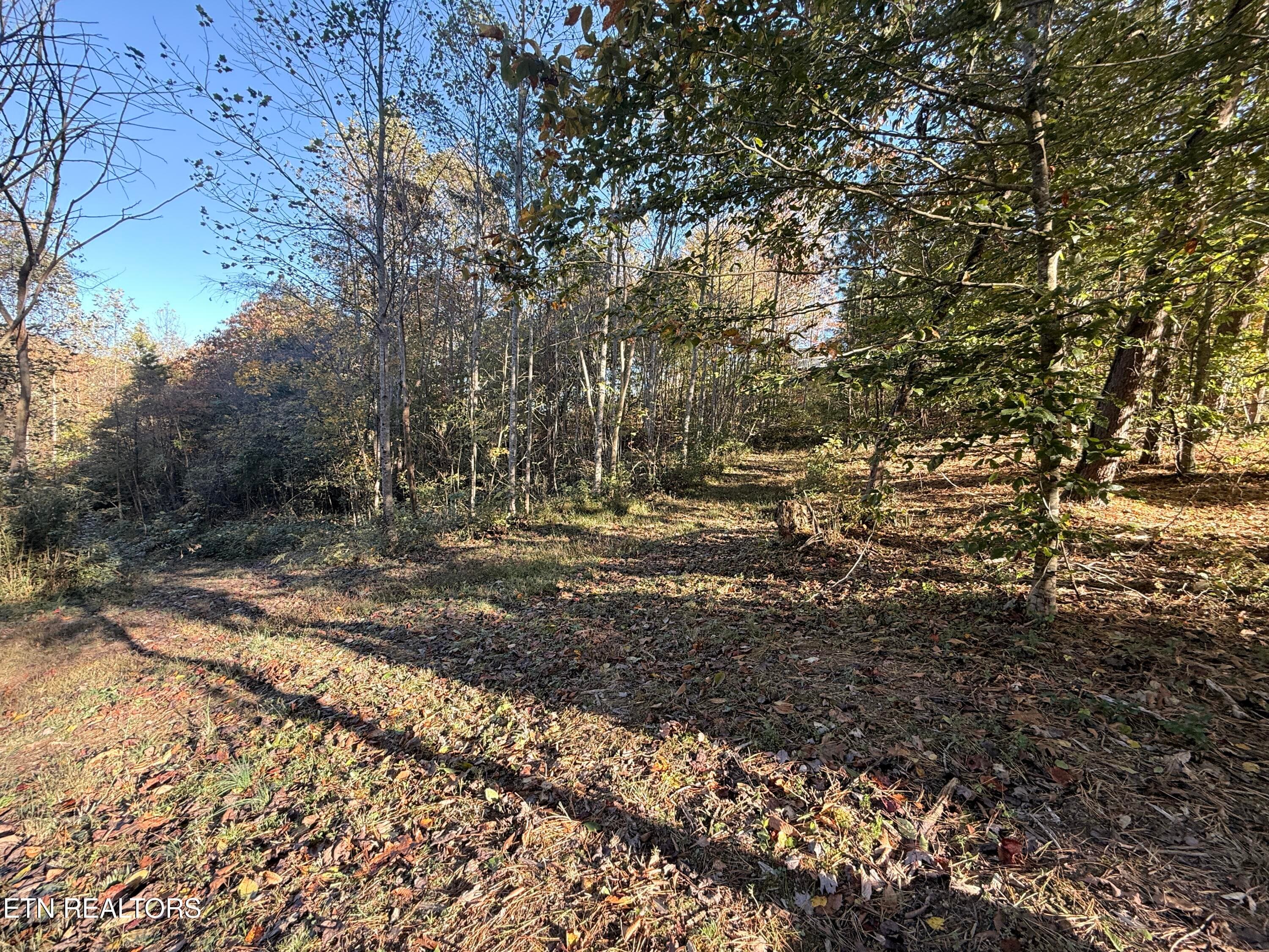 Lower Property - 444 Roses Creek Rd, Clairfield, TN 37715, Clairfield