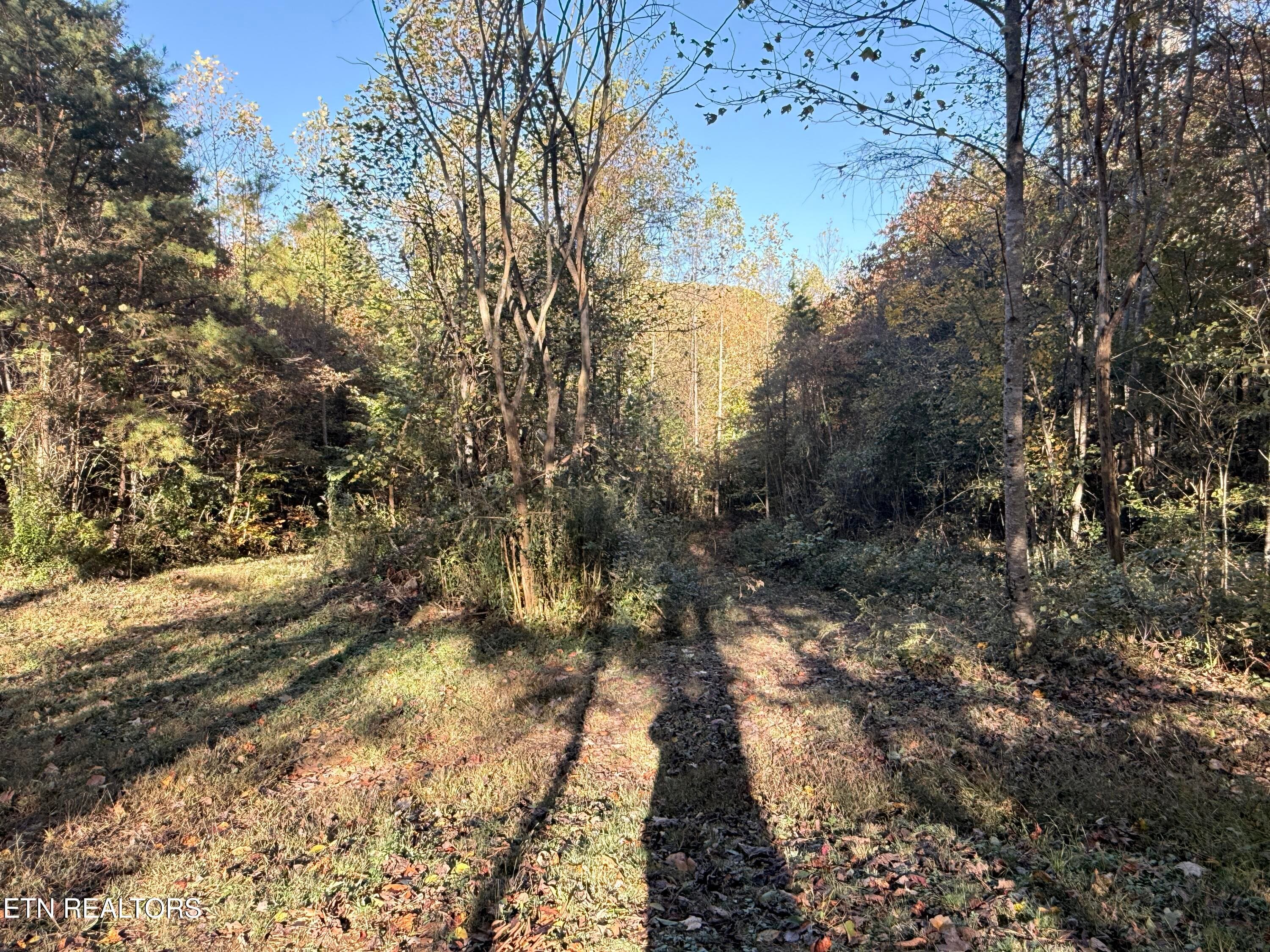 Lower Property - 444 Roses Creek Rd, Clairfield, TN 37715, Clairfield