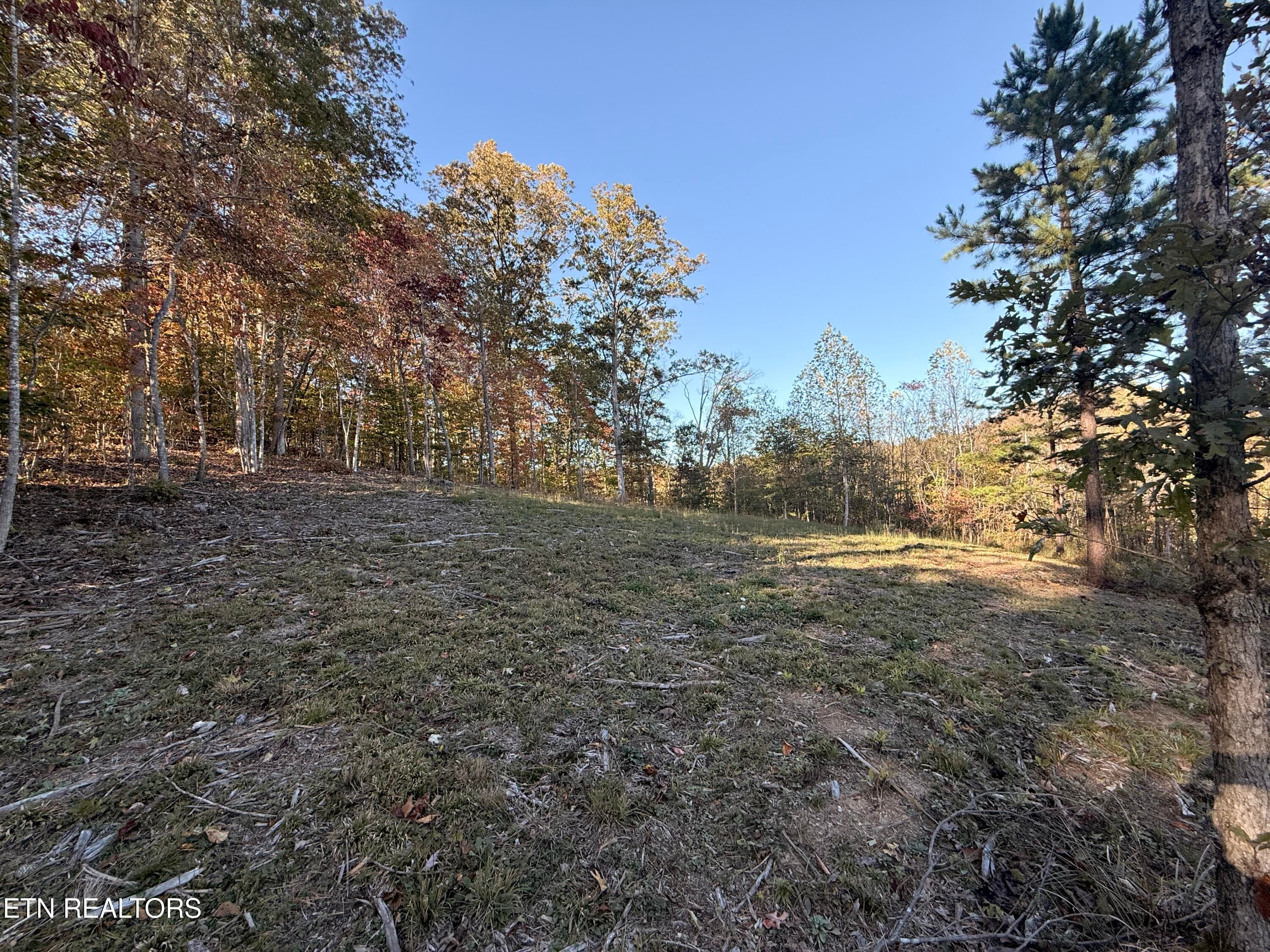 Lower Property - 444 Roses Creek Rd, Clairfield, TN 37715, Clairfield