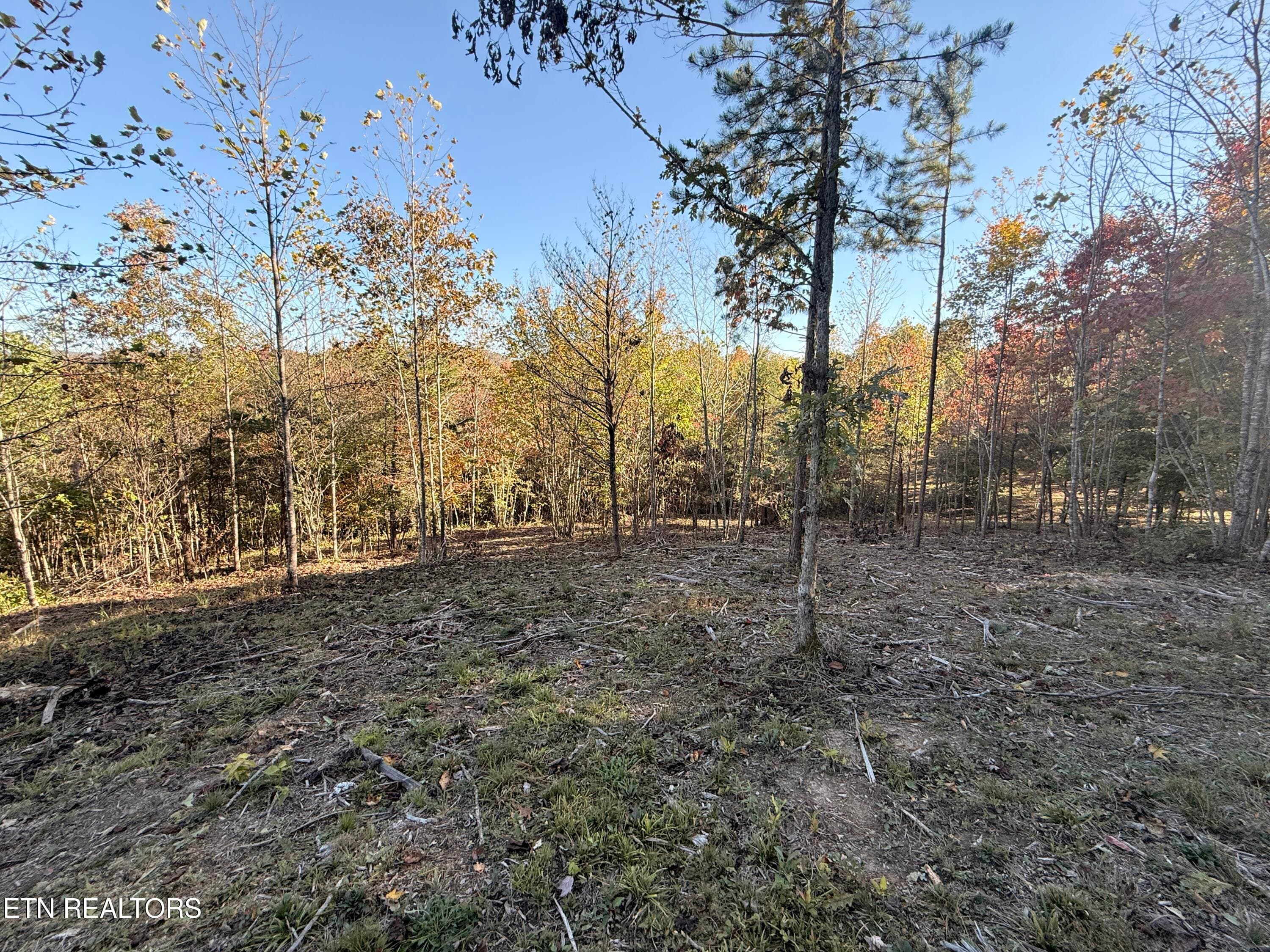 Lower Property - 444 Roses Creek Rd, Clairfield, TN 37715, Clairfield