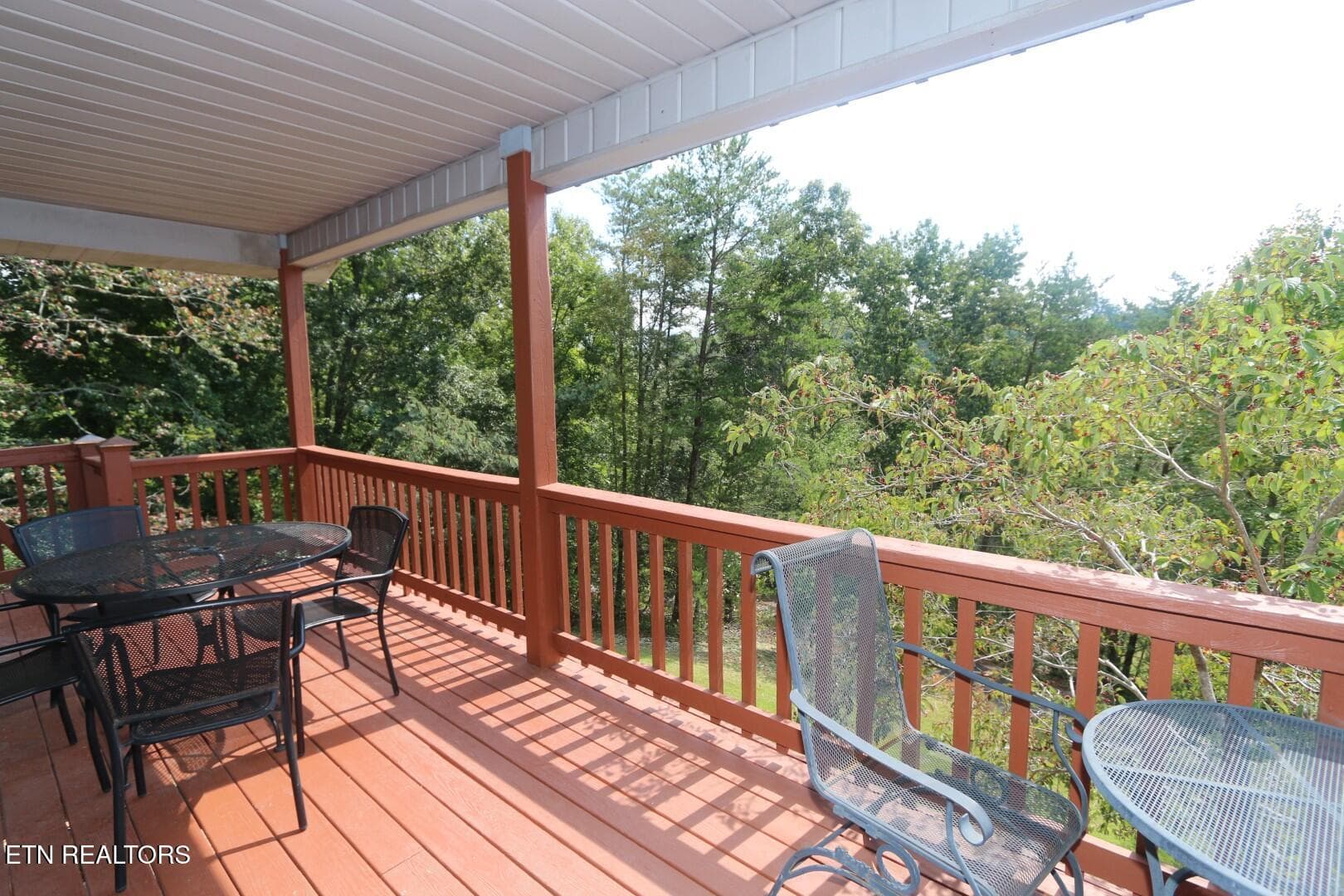IMG_2727 (Large) - 3609 Shady Grove Court, Sevierville, TN 37876, Sevierville