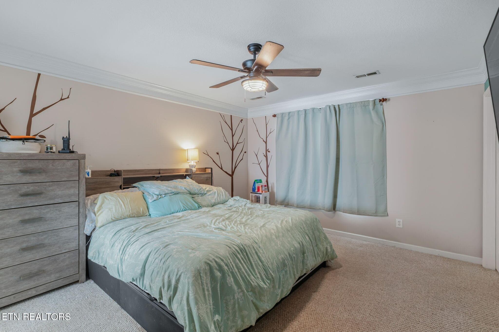 Master Bedroom - 2135 Cedargreens Rd, Knoxville, TN 37924, Knoxville