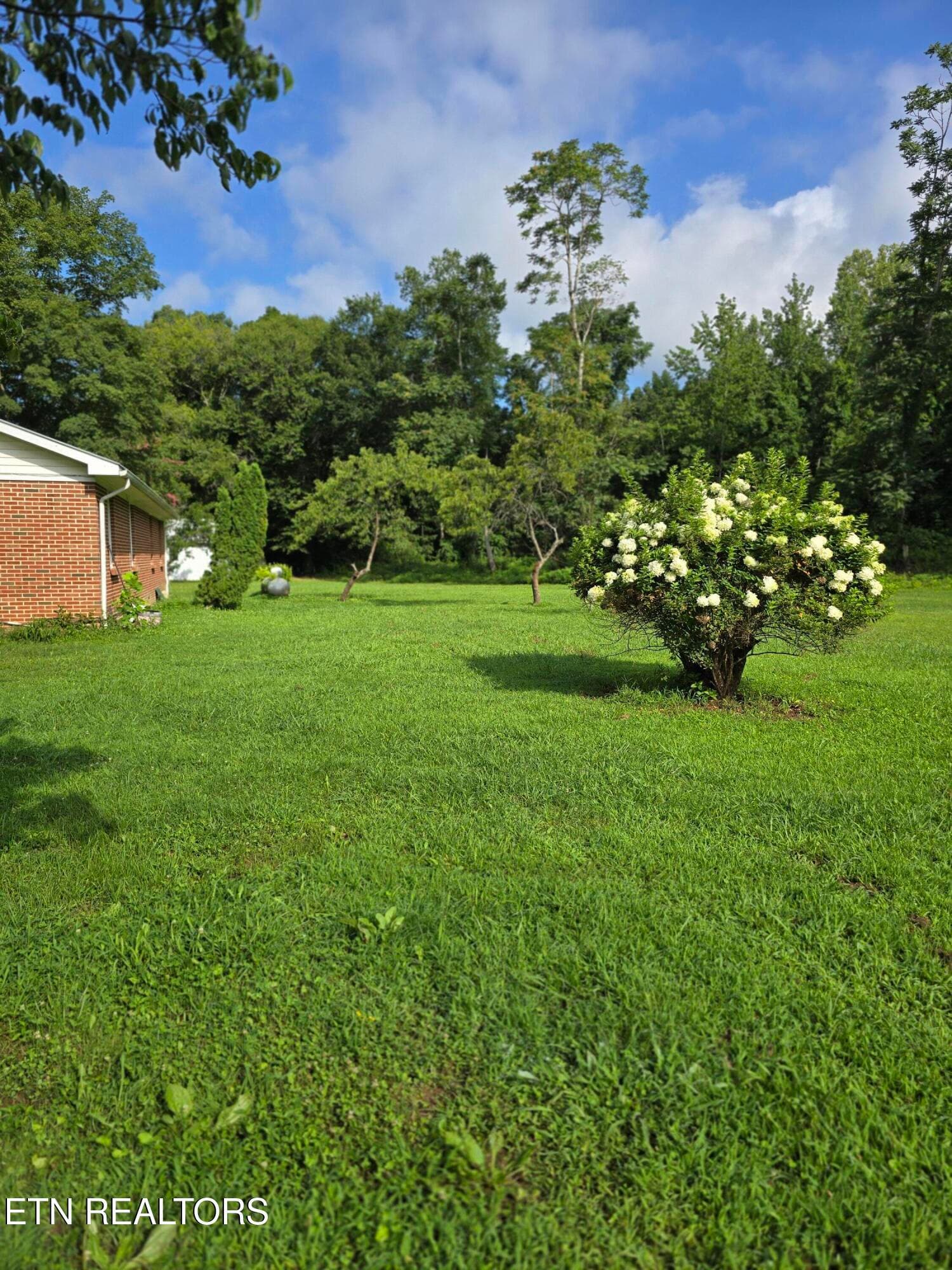20260717_084137 - 6117 Hills Creek Rd, McMinnville, TN 37110, McMinnville