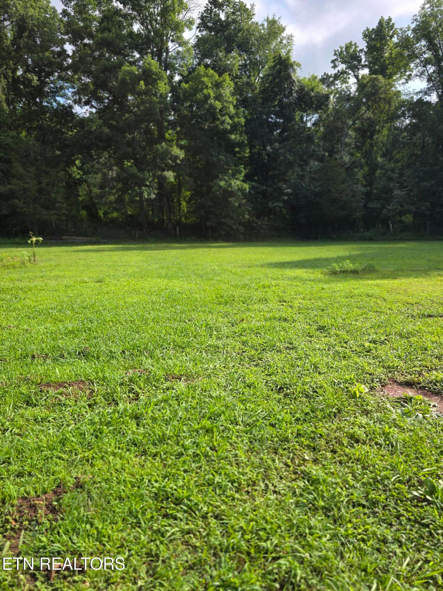 20260717_084142 - 6117 Hills Creek Rd, McMinnville, TN 37110, McMinnville