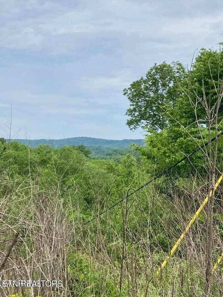 20230525152401289246000000-o - Old US Highway 27-Mtn View Rd, Robbins, TN 37852, Robbins