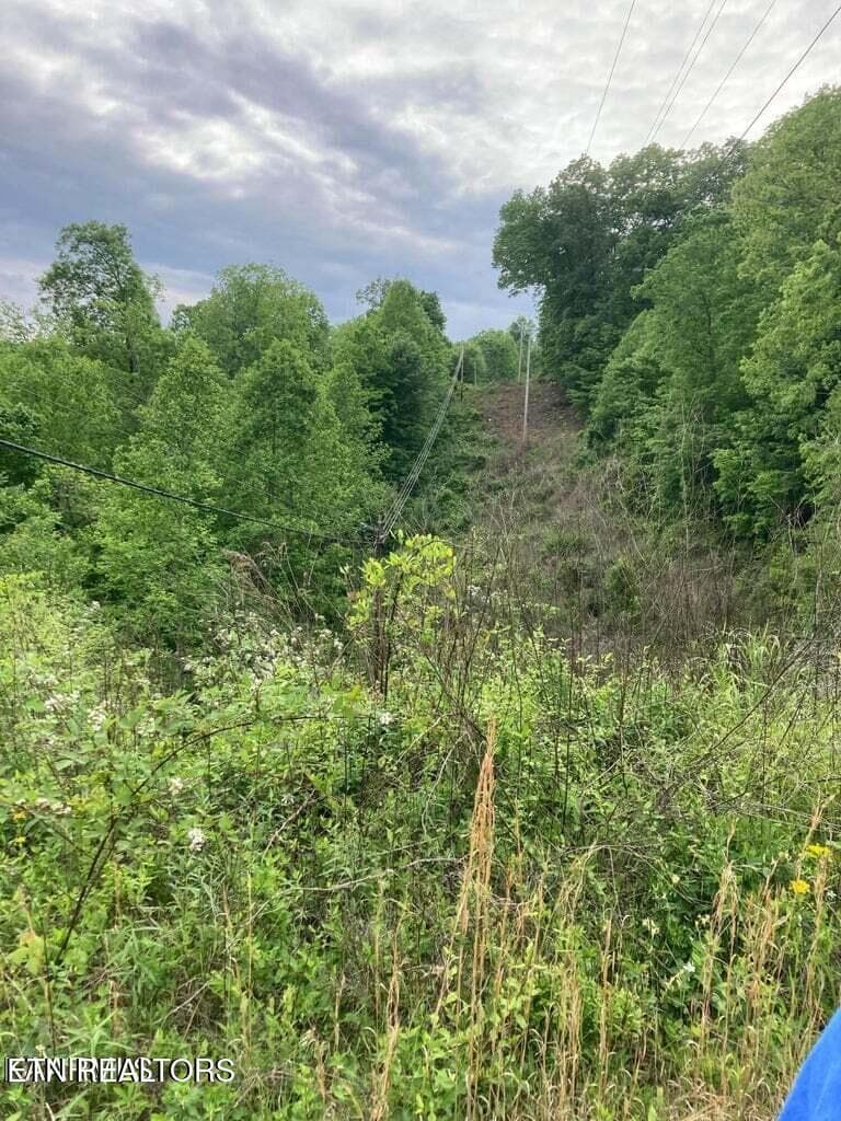 20230525152410485960000000-o - Old US Highway 27-Mtn View Rd, Robbins, TN 37852, Robbins