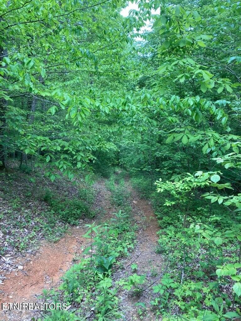 20230525152420042046000000-o - Old US Highway 27-Mtn View Rd, Robbins, TN 37852, Robbins