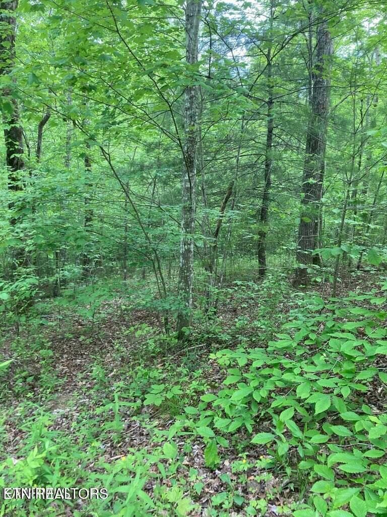 20230525152429884837000000-o - Old US Highway 27-Mtn View Rd, Robbins, TN 37852, Robbins