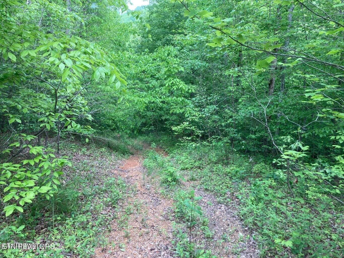 Morrow MV - Old US Highway 27-Mtn View Rd, Robbins, TN 37852, Robbins