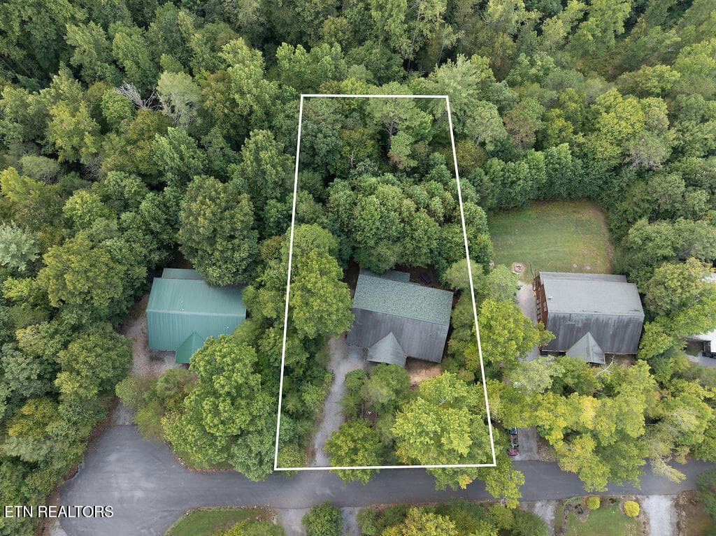 DJI_20260914135123_0162_D-Edit - 223 Amet Way, Cosby, TN 37722, Cosby