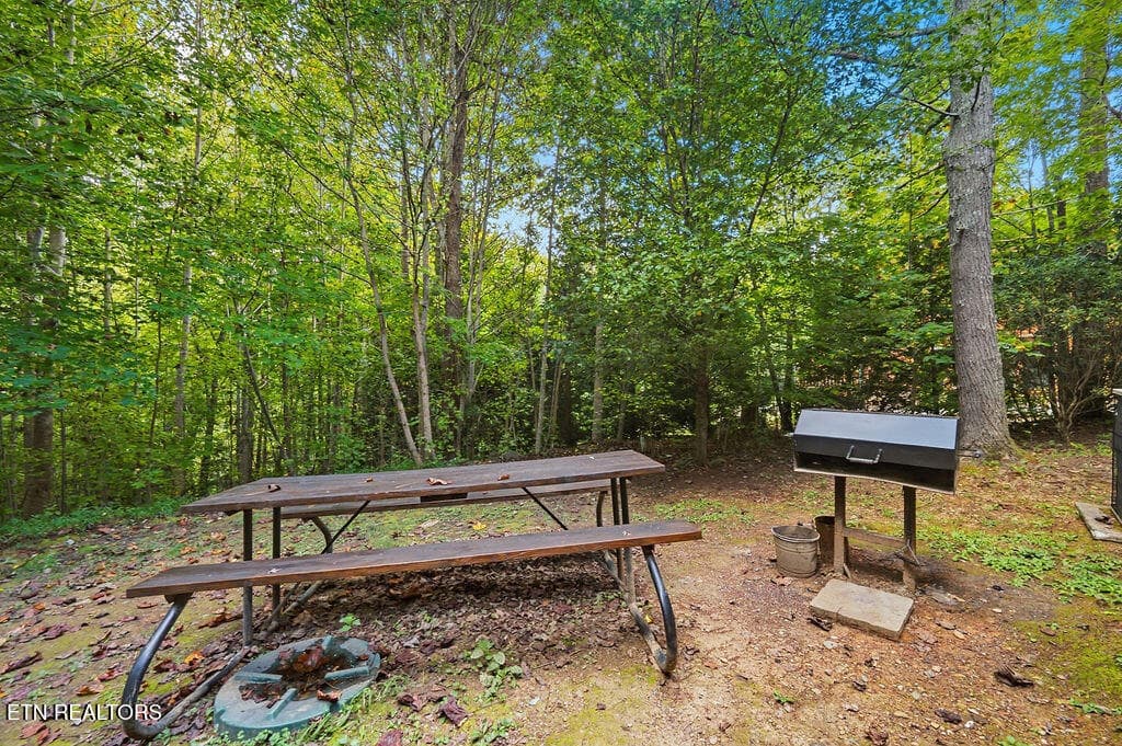 DSC_4908 - 223 Amet Way, Cosby, TN 37722, Cosby
