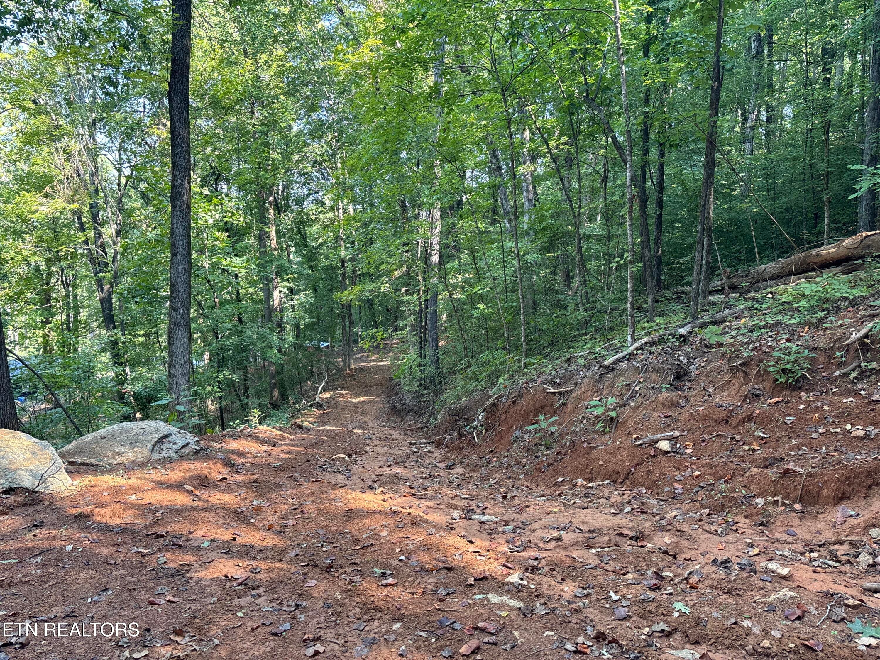 Driveway - 00 County Road 38, Riceville, TN 37370, Riceville