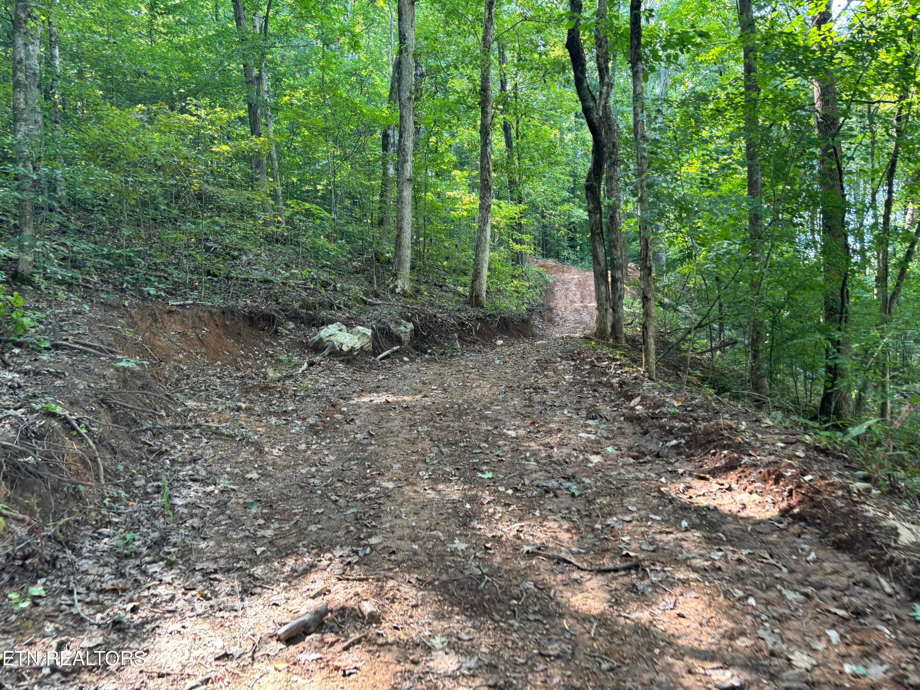 Driveway - 00 County Road 38, Riceville, TN 37370, Riceville
