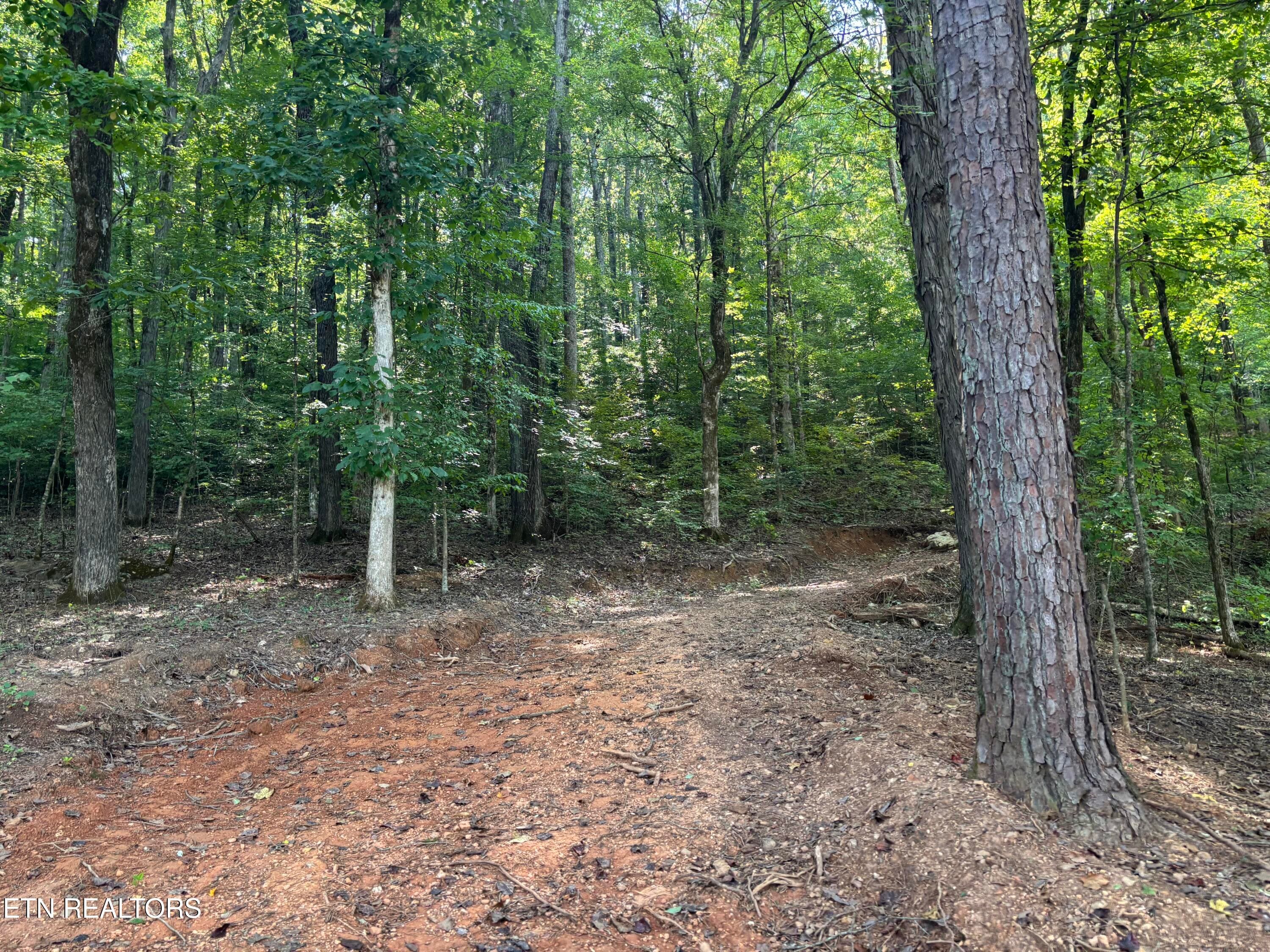 Driveway - 00 County Road 38, Riceville, TN 37370, Riceville