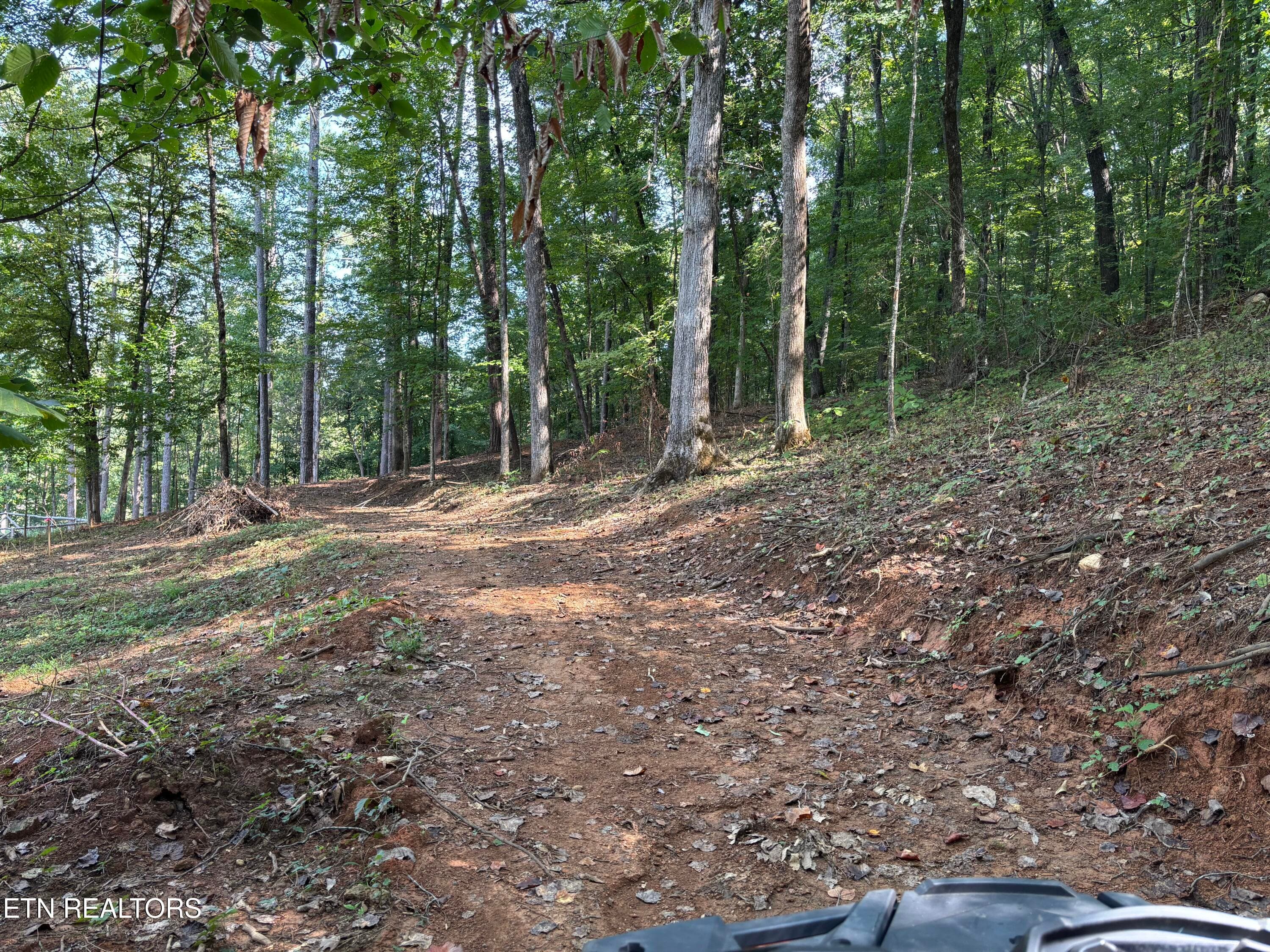 Driveway - 00 County Road 38, Riceville, TN 37370, Riceville