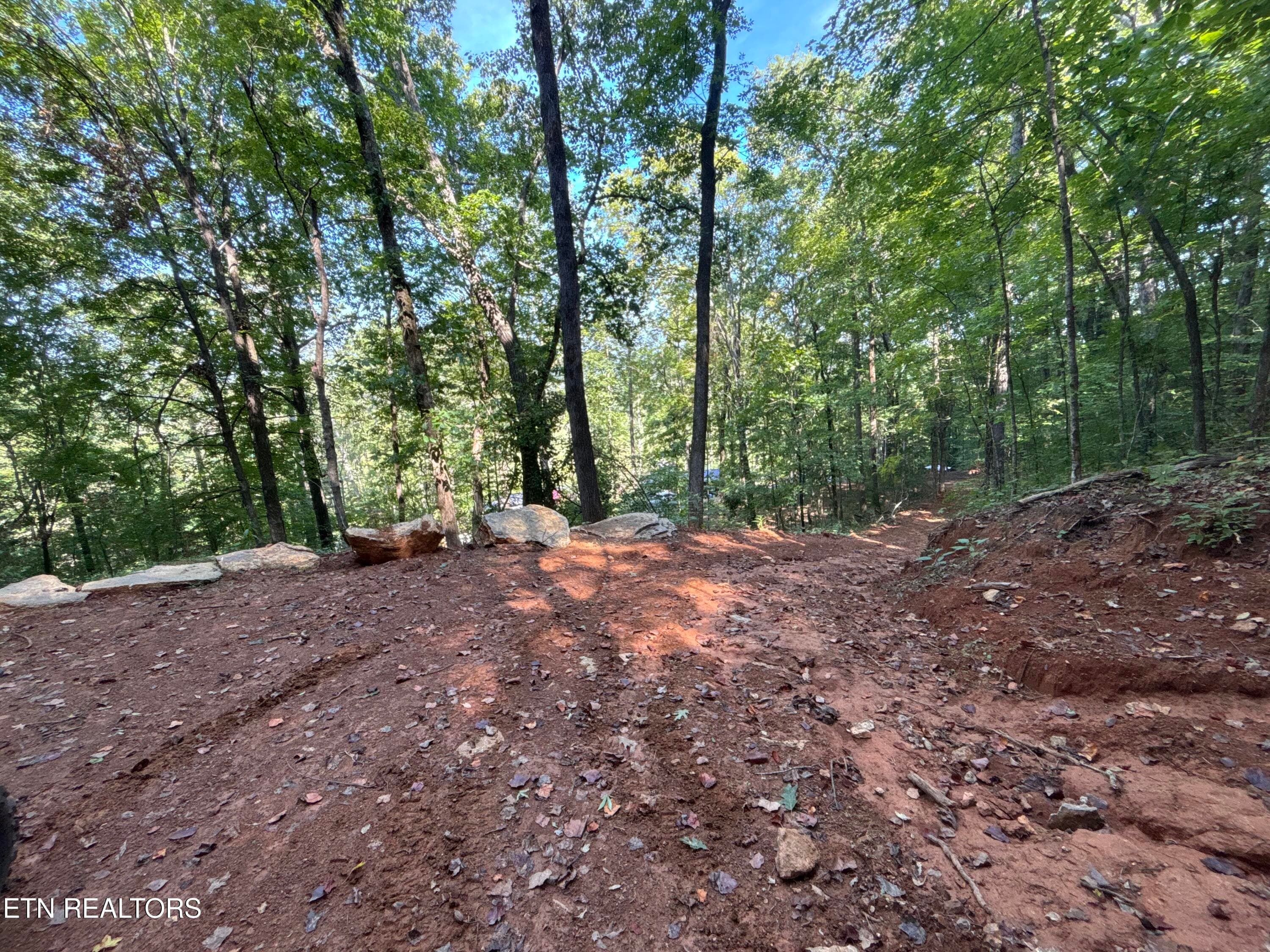 Driveway - 00 County Road 38, Riceville, TN 37370, Riceville