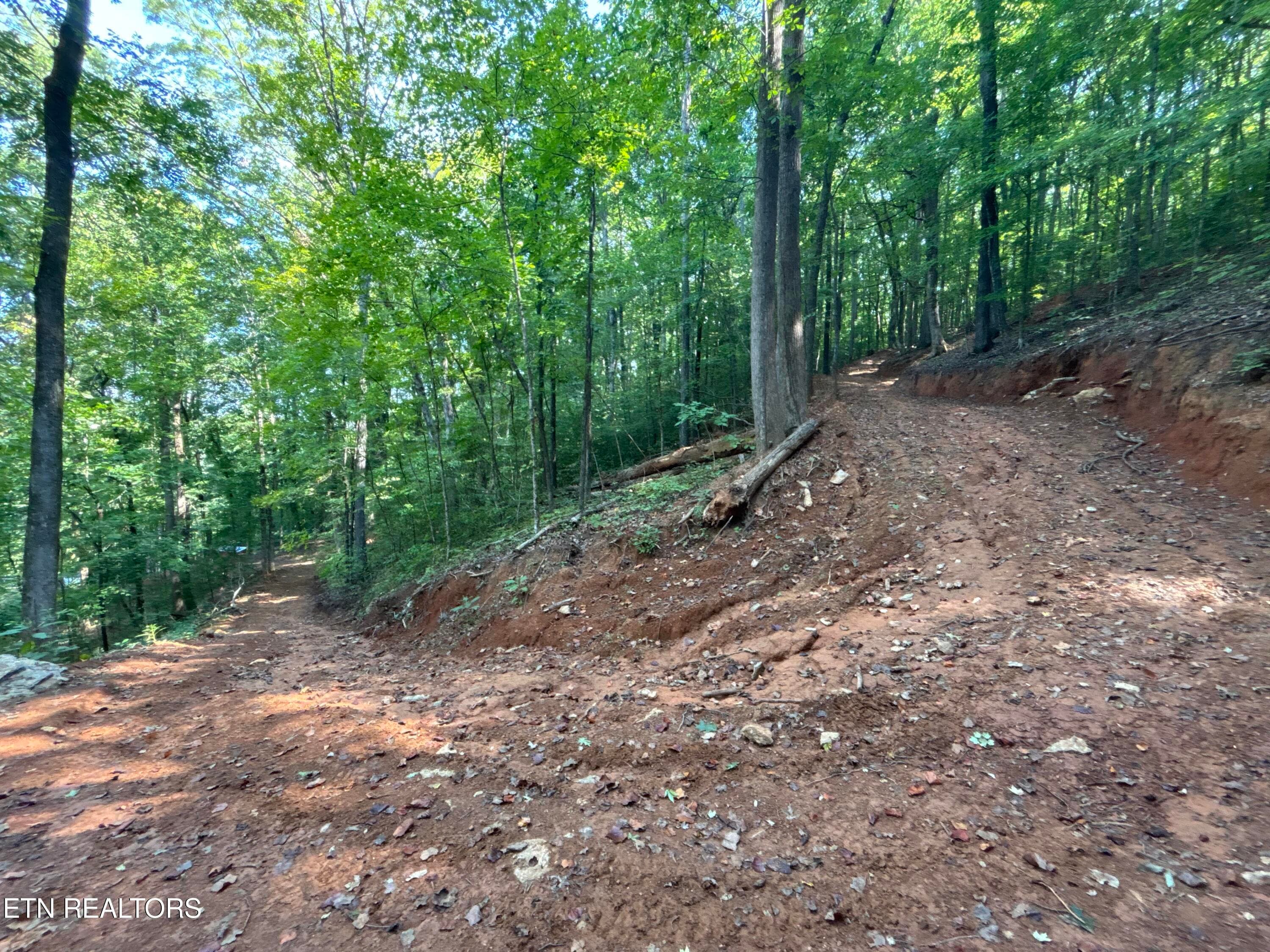 Driveway - 00 County Road 38, Riceville, TN 37370, Riceville