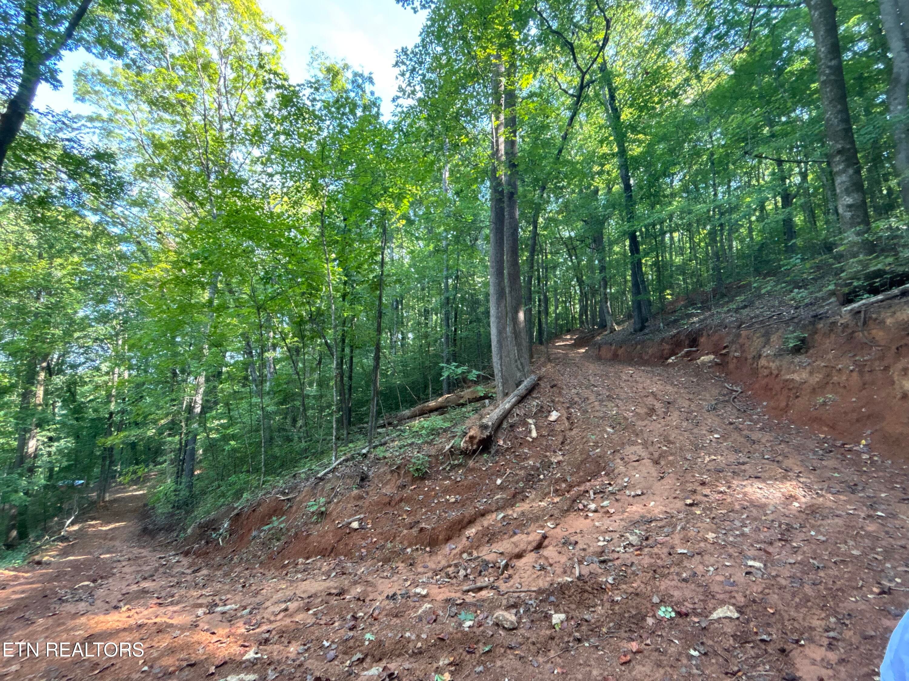 Driveway - 00 County Road 38, Riceville, TN 37370, Riceville