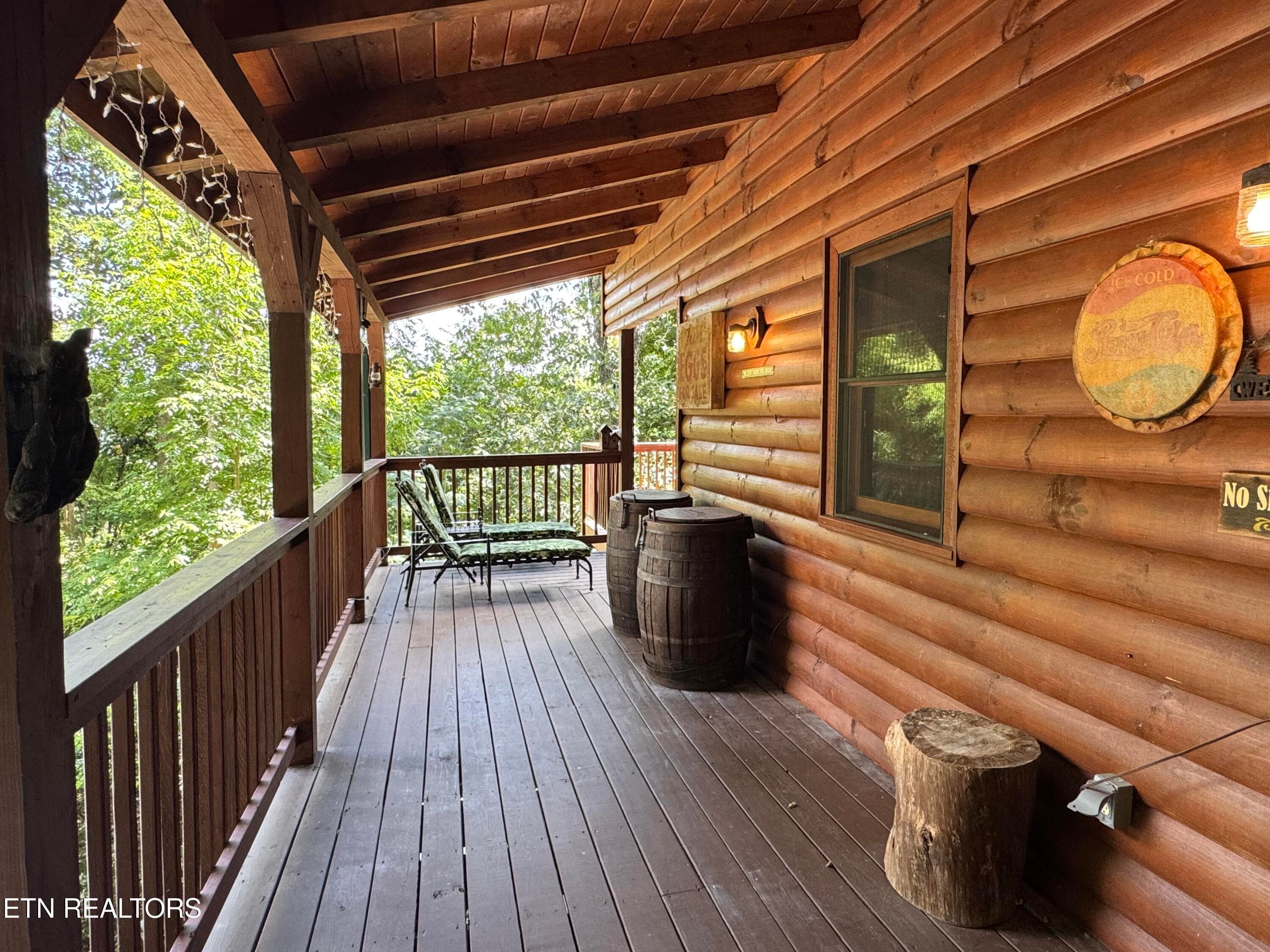 IMG_6844 - 3514 Olde Tyme Way, Sevierville, TN 37862, Sevierville
