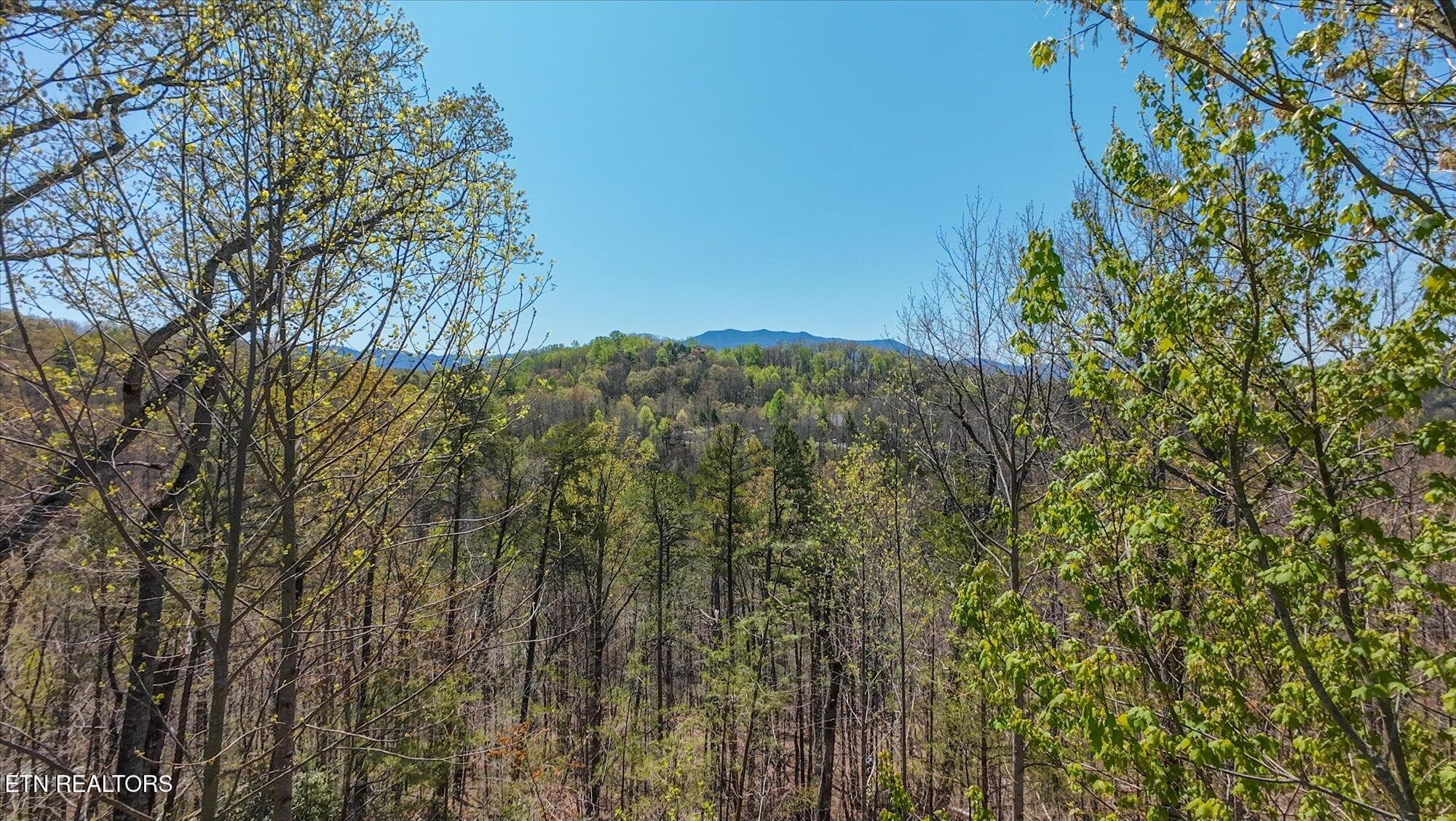 45-2169-King-Hollow-Rd-Sevierville-TN-45 - 2169 King Hollow Rd, Sevierville, TN 37876, Sevierville