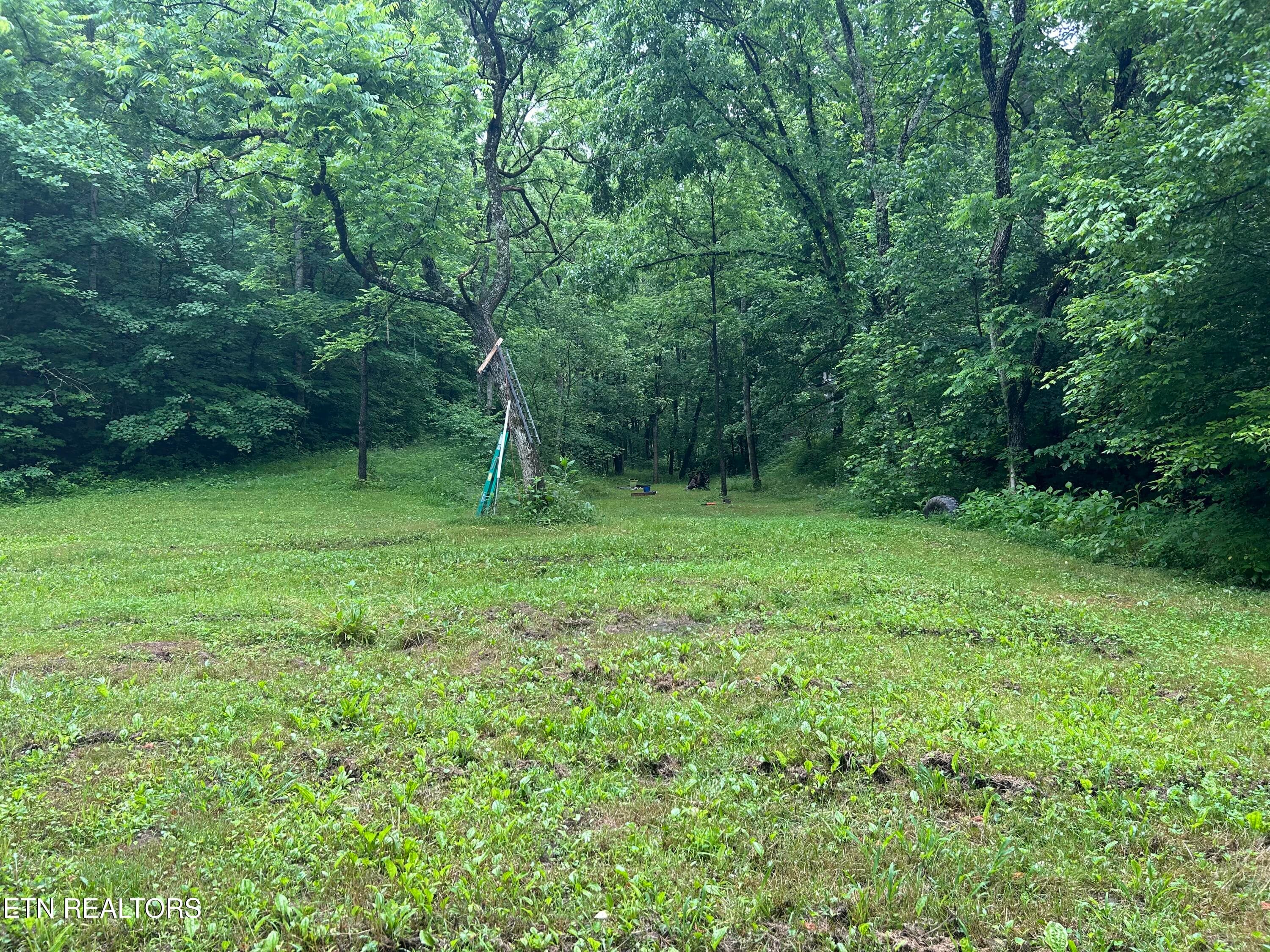 IMG_1518 - 524 Barger Hollow Rd, Parrottsville, TN 37843, Parrottsville