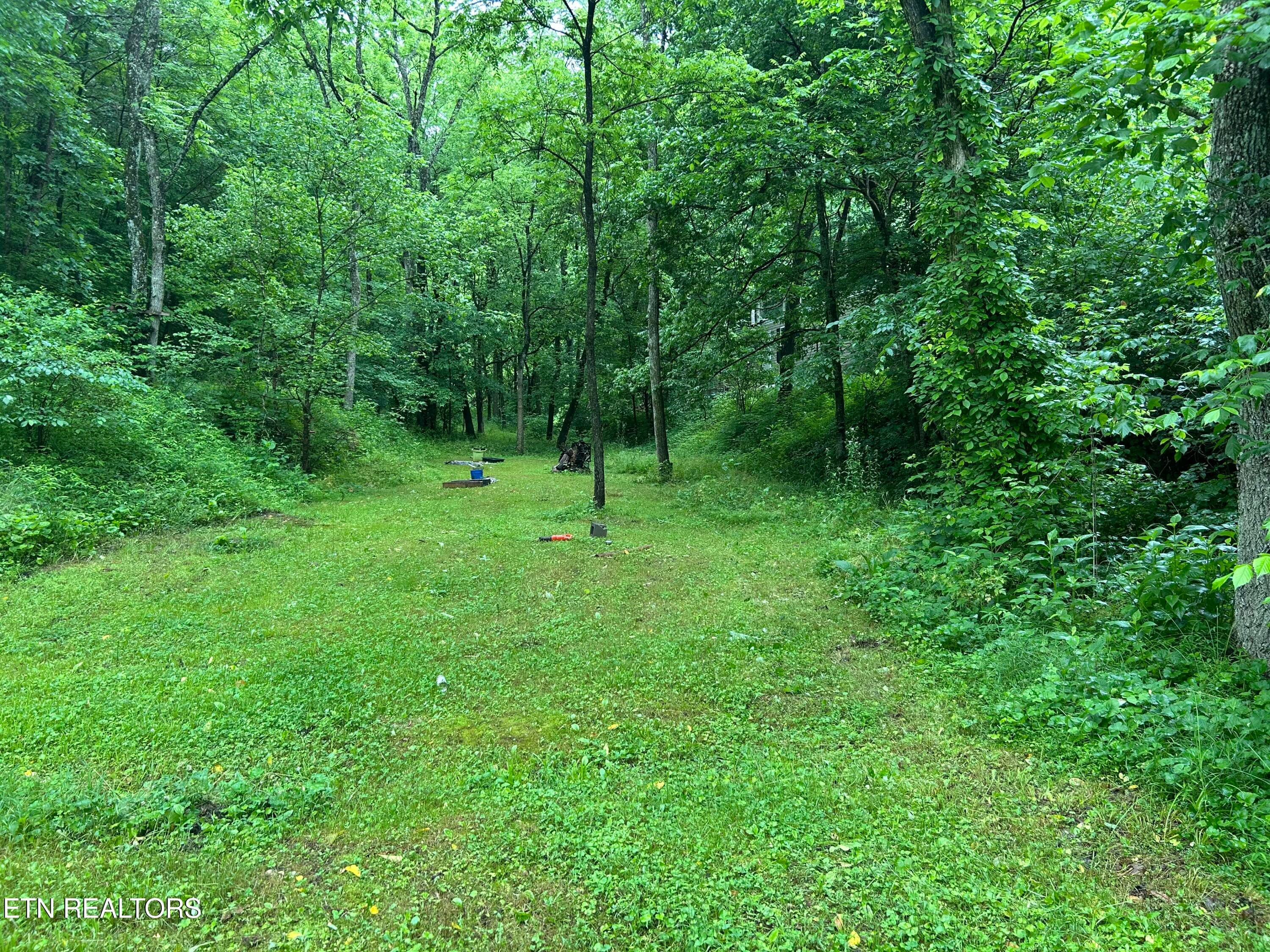 IMG_1517 - 524 Barger Hollow Rd, Parrottsville, TN 37843, Parrottsville