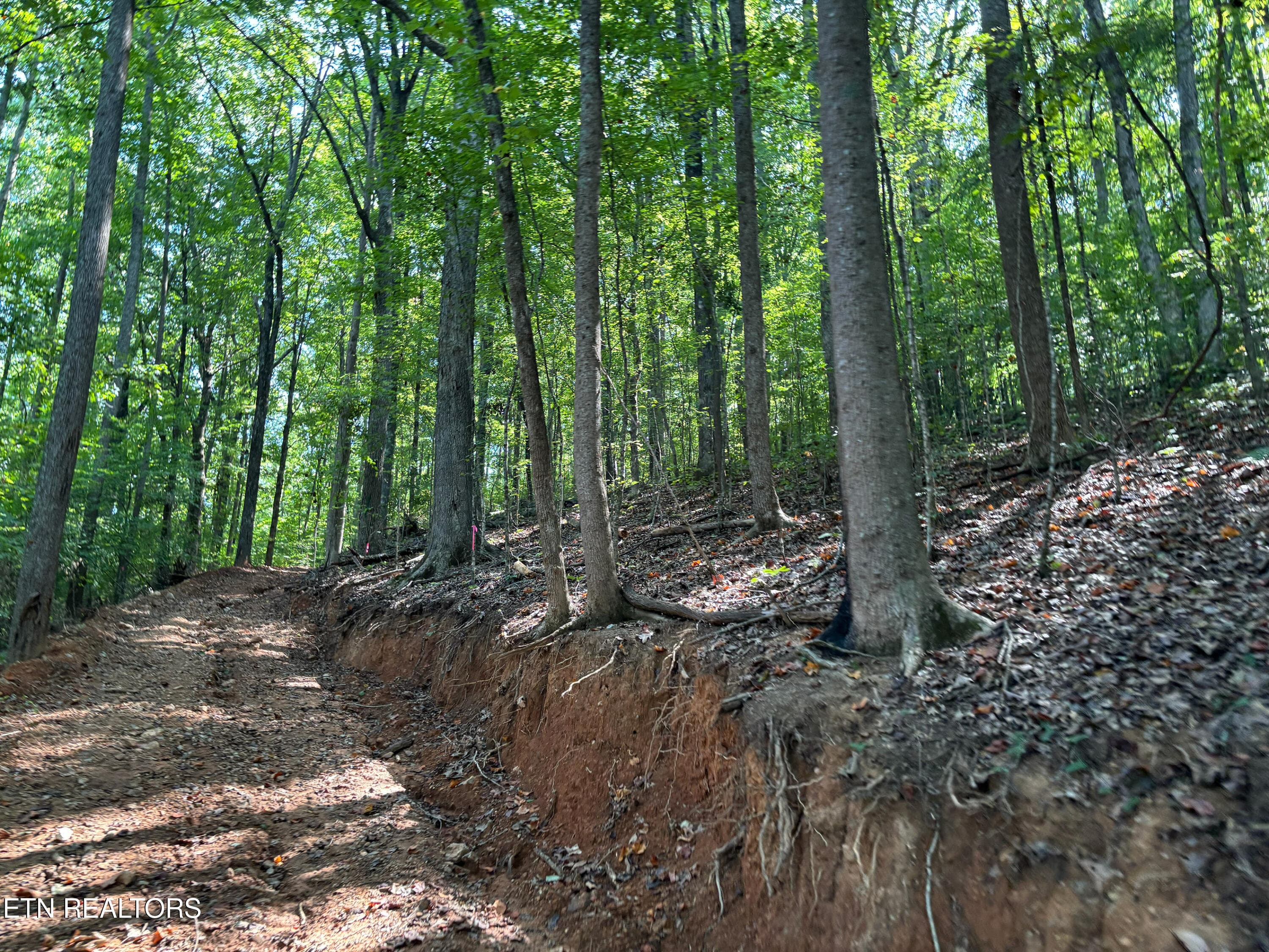 Driveway - 00 County Road 38, Riceville, TN 37370, Riceville