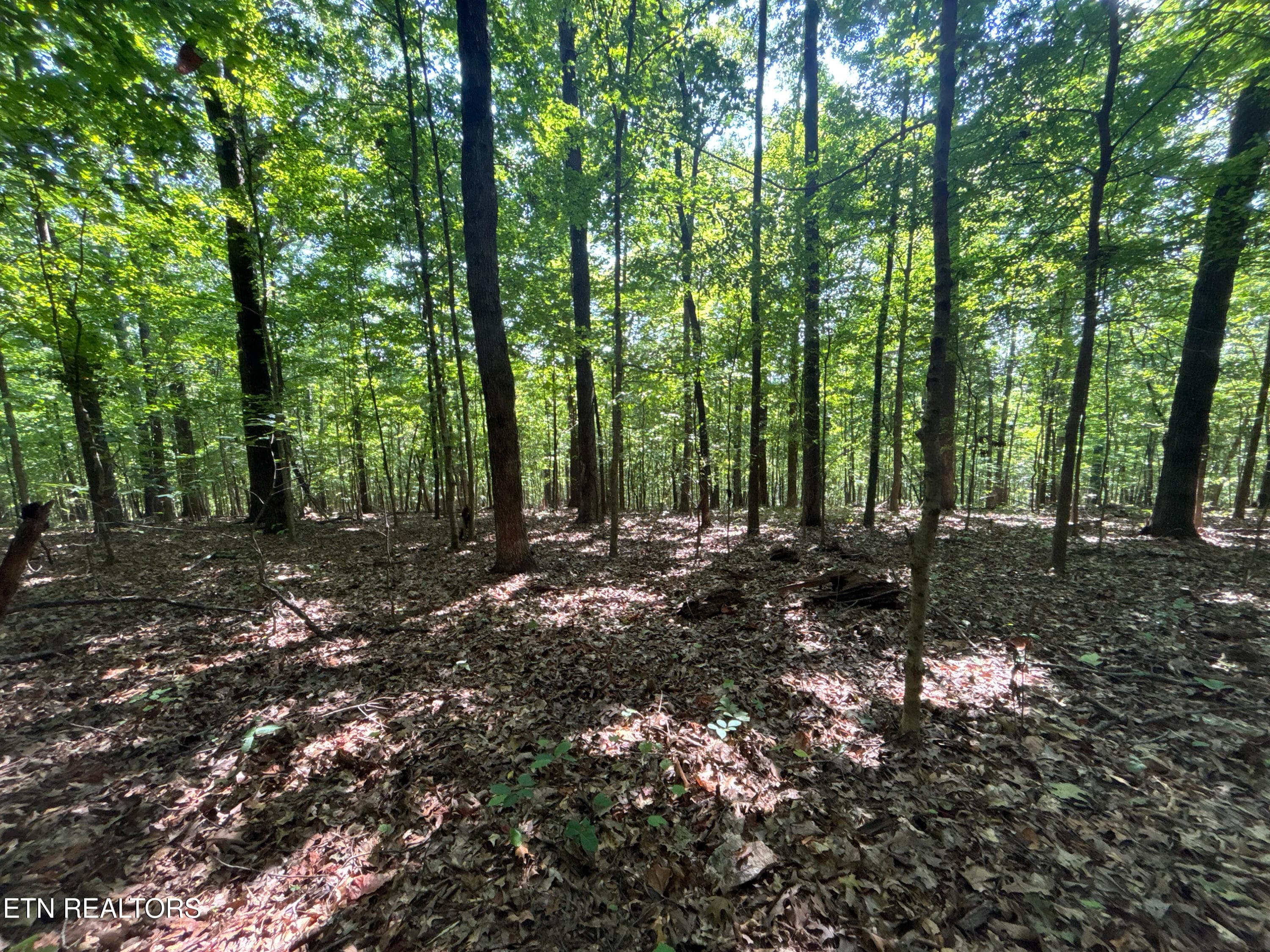 Ridge - 00 County Road 38, Riceville, TN 37370, Riceville
