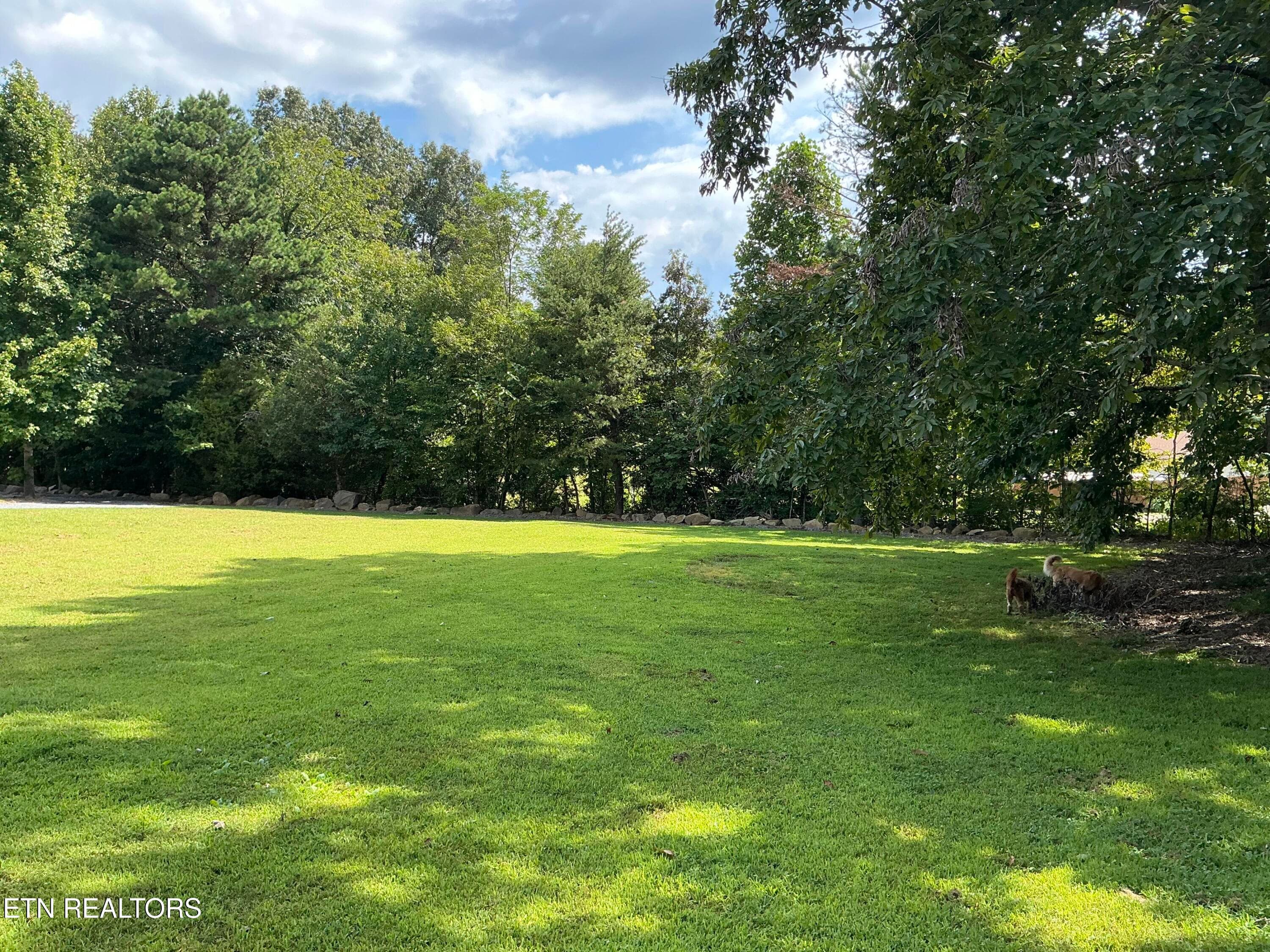 48 - 910 English Mtn Rd, Cosby, TN 37722, Cosby