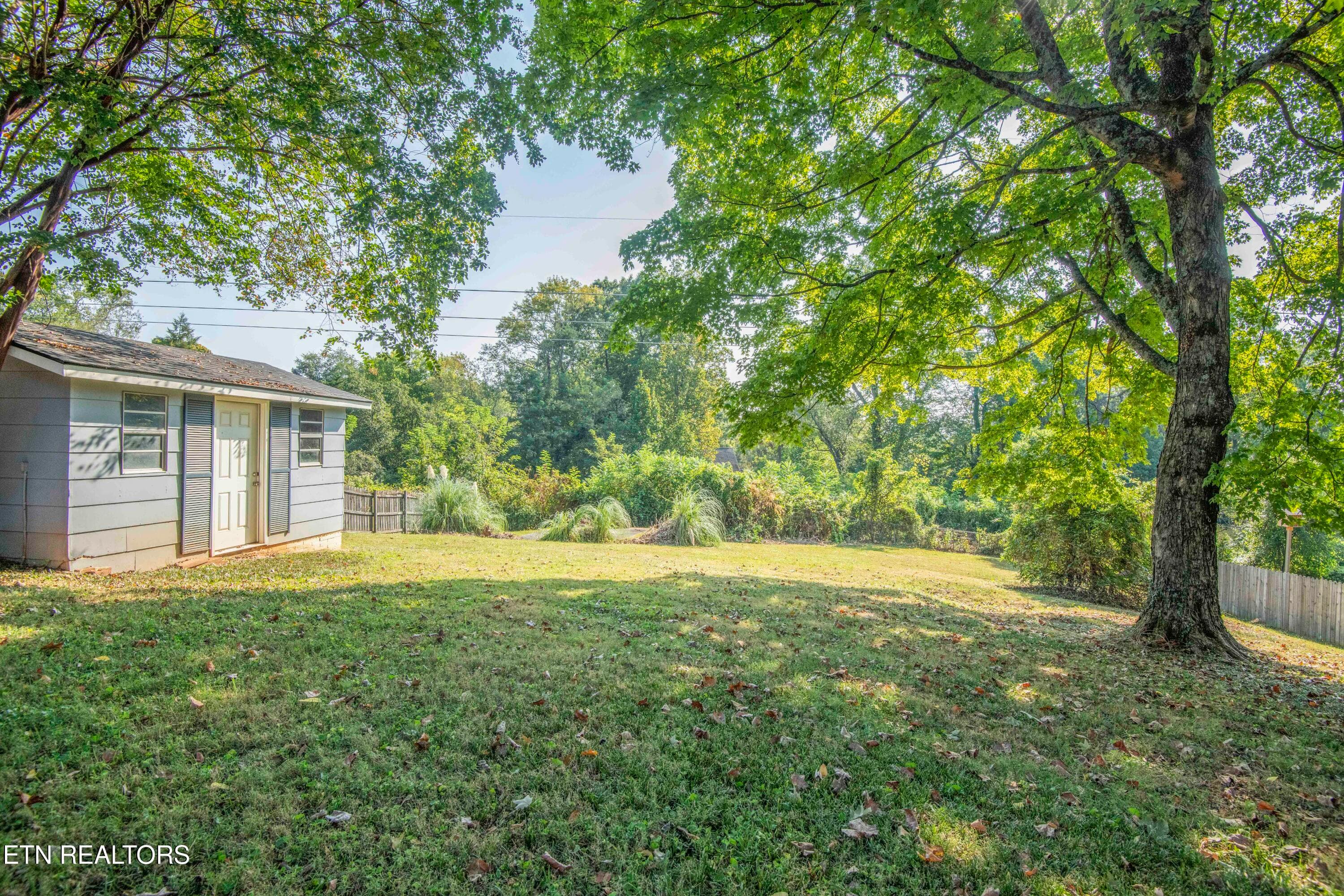 Shed - 7608 Sabre Drive, Knoxville, TN 37919, Knoxville