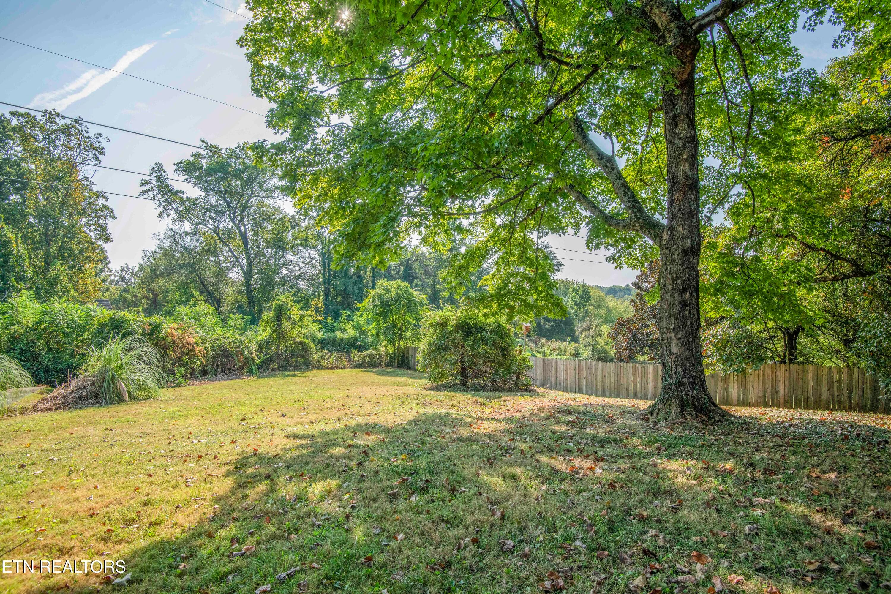 Backyard - 7608 Sabre Drive, Knoxville, TN 37919, Knoxville