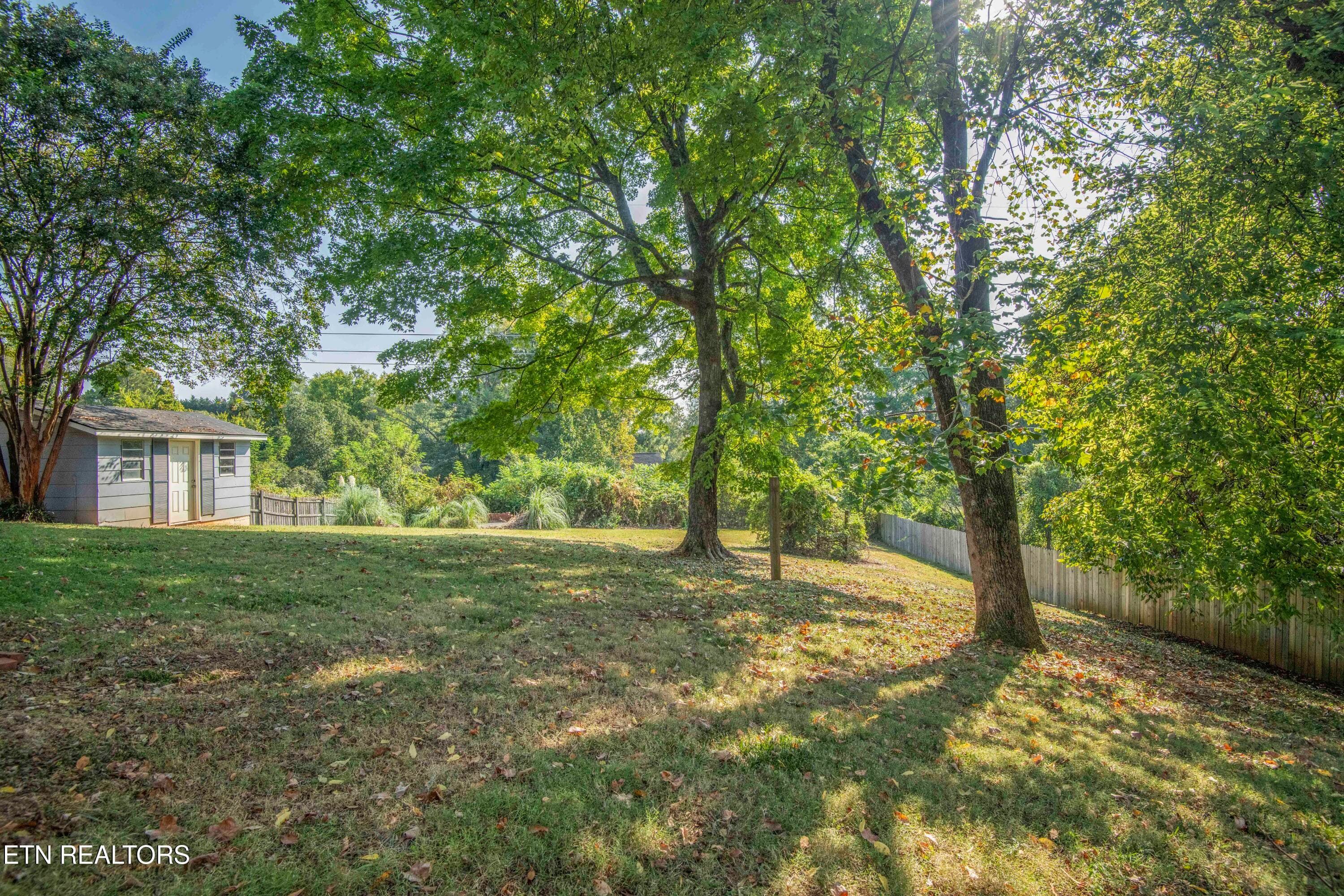 Backyard - 7608 Sabre Drive, Knoxville, TN 37919, Knoxville