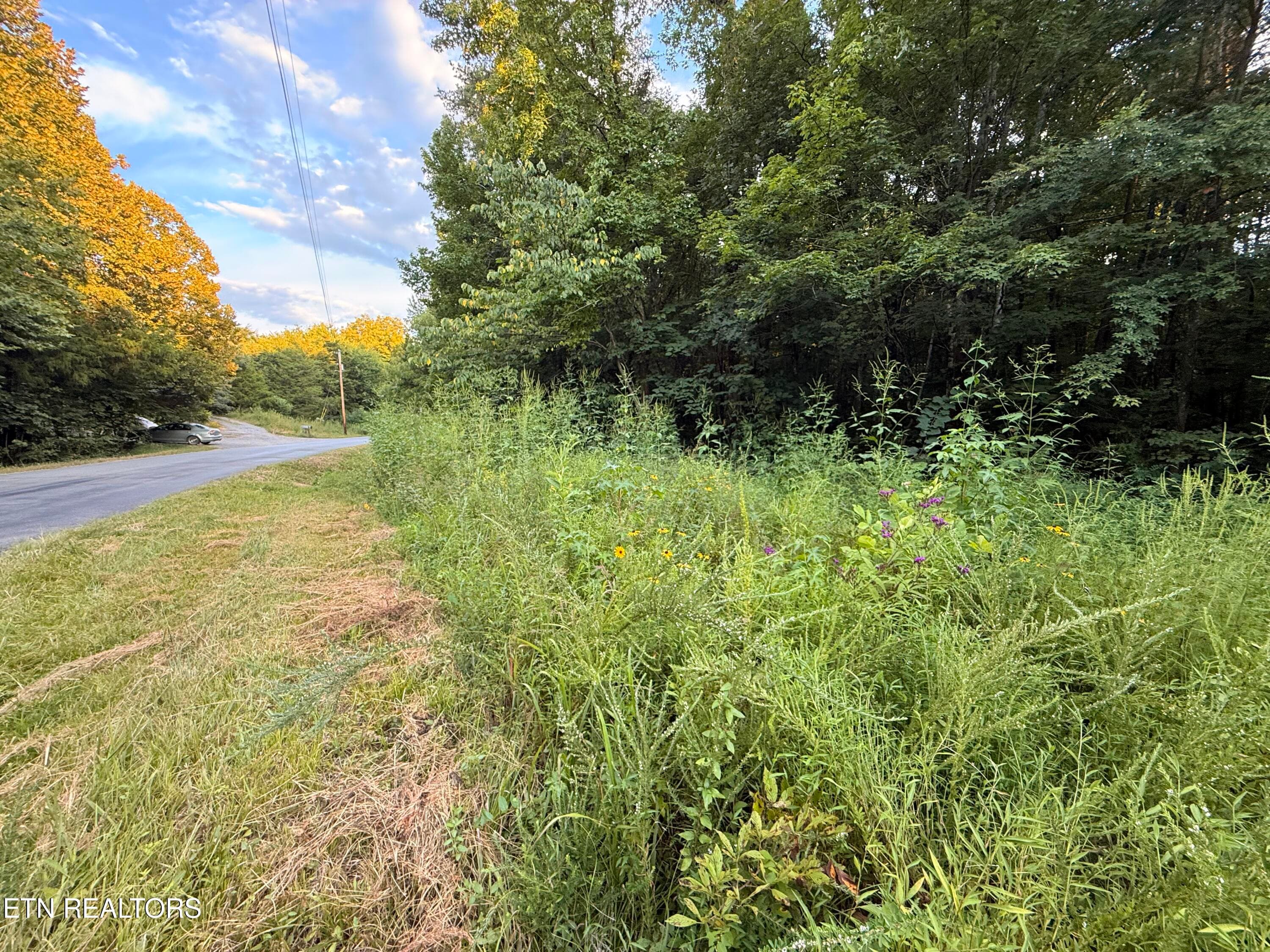 IMG_5919 - Co Rd 475, Etowah, TN 37331