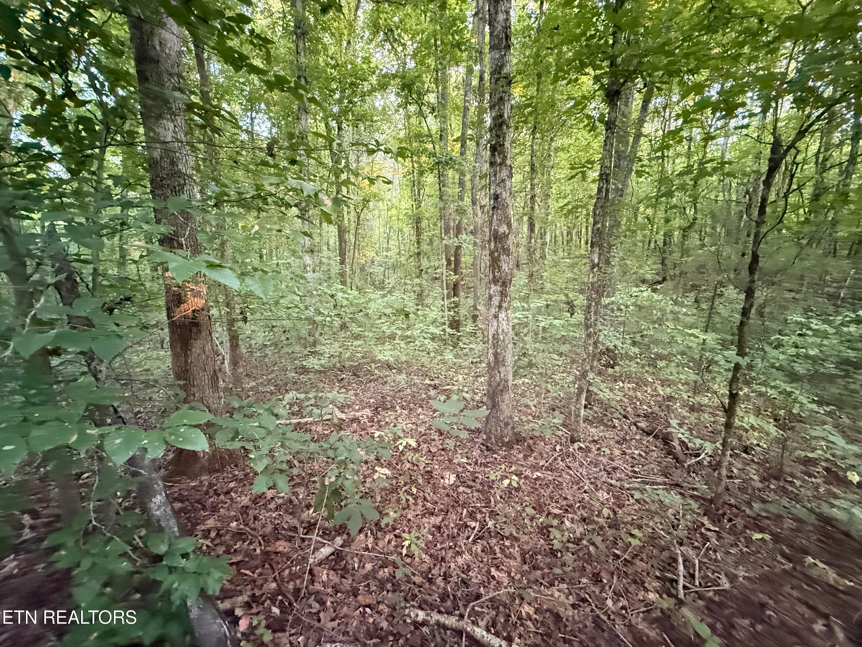 IMG_5921 - Co Rd 475, Etowah, TN 37331