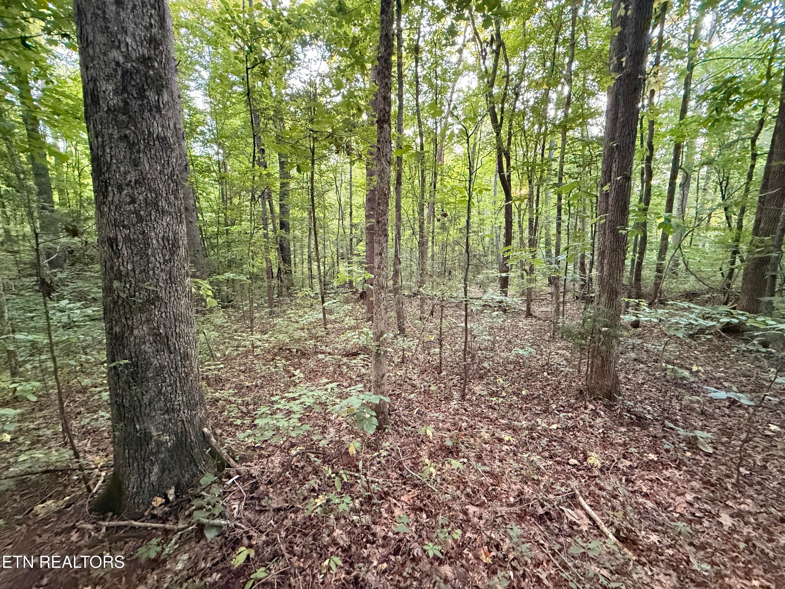 IMG_5922 - Co Rd 475, Etowah, TN 37331