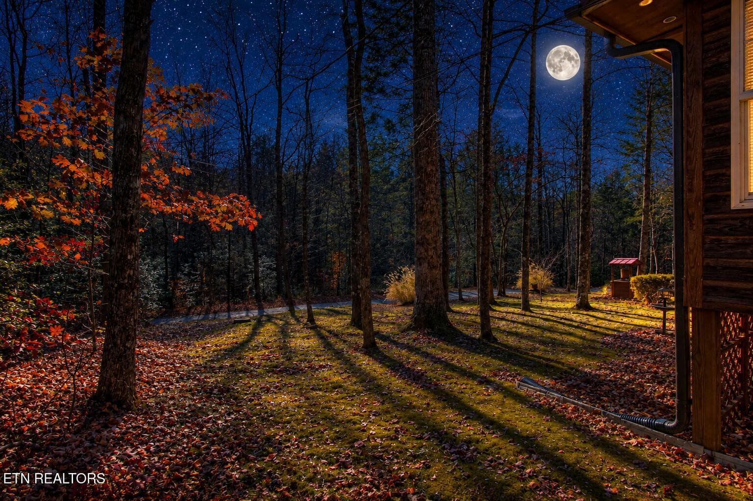 Starry Sky with moon pic - 4917 Latta Wa - 4917 Latta Way, Gatlinburg, TN 37738, Gatlinburg