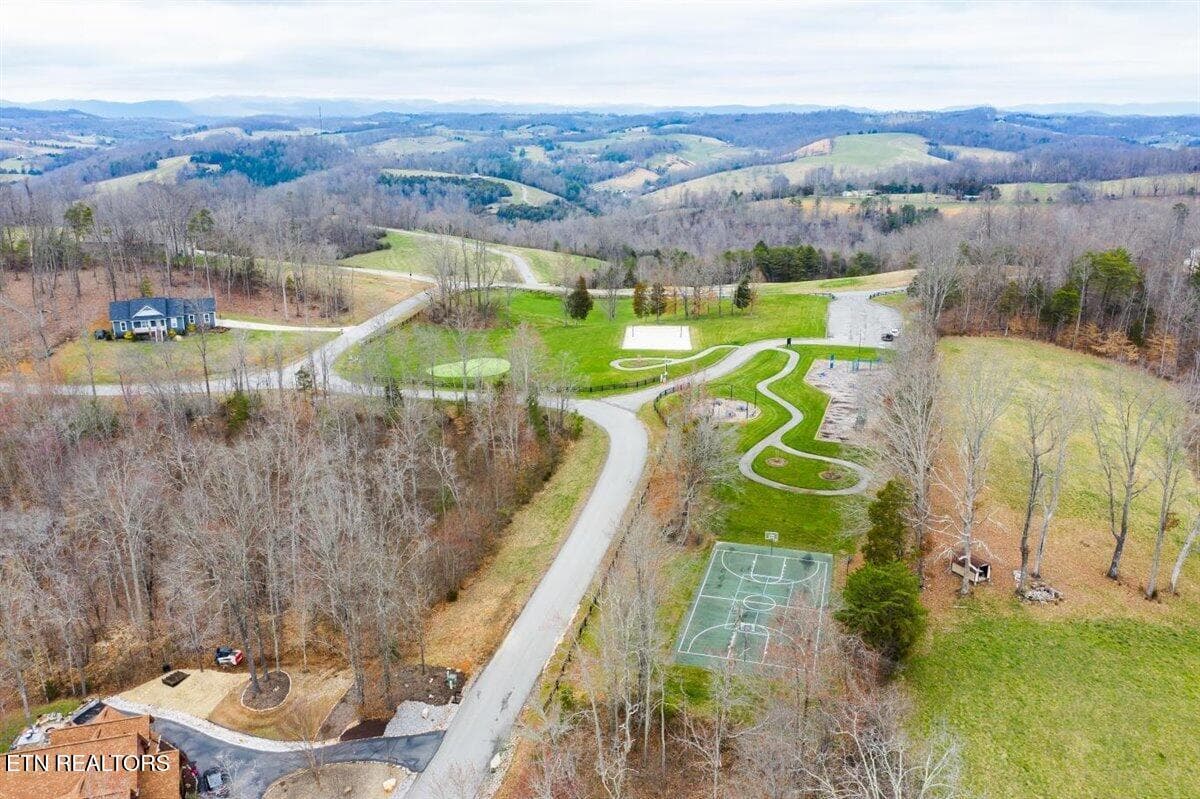 Tennis Courts - Lot 565 Tortoiseshell Circle, New Tazewell, TN 37825, New Tazewell