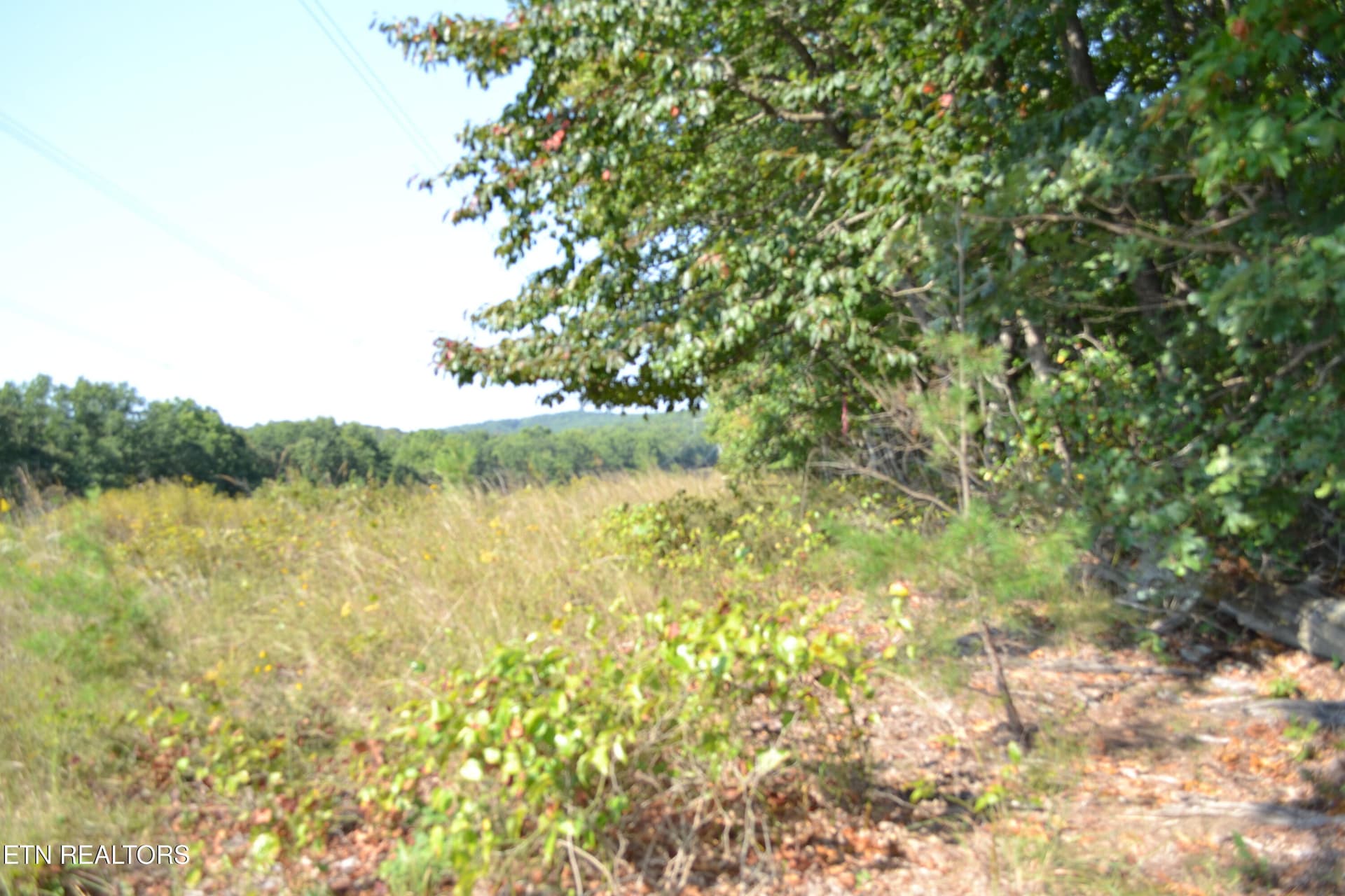 2156 Street Place Loop Loop, Monterey, TN 38574