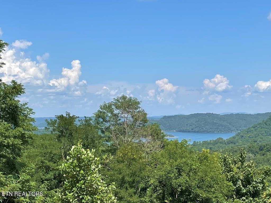213376_0 - Lot 57A Goose Rd, Hilham, TN 38568, Hilham