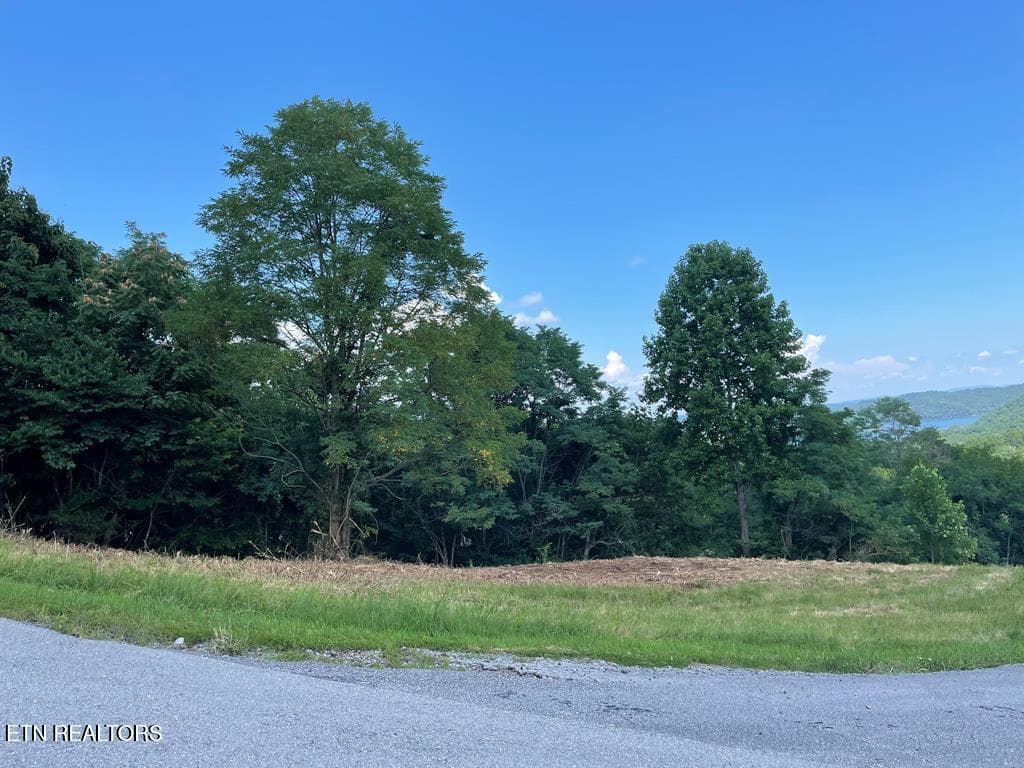 213376_7 - Lot 57A Goose Rd, Hilham, TN 38568, Hilham