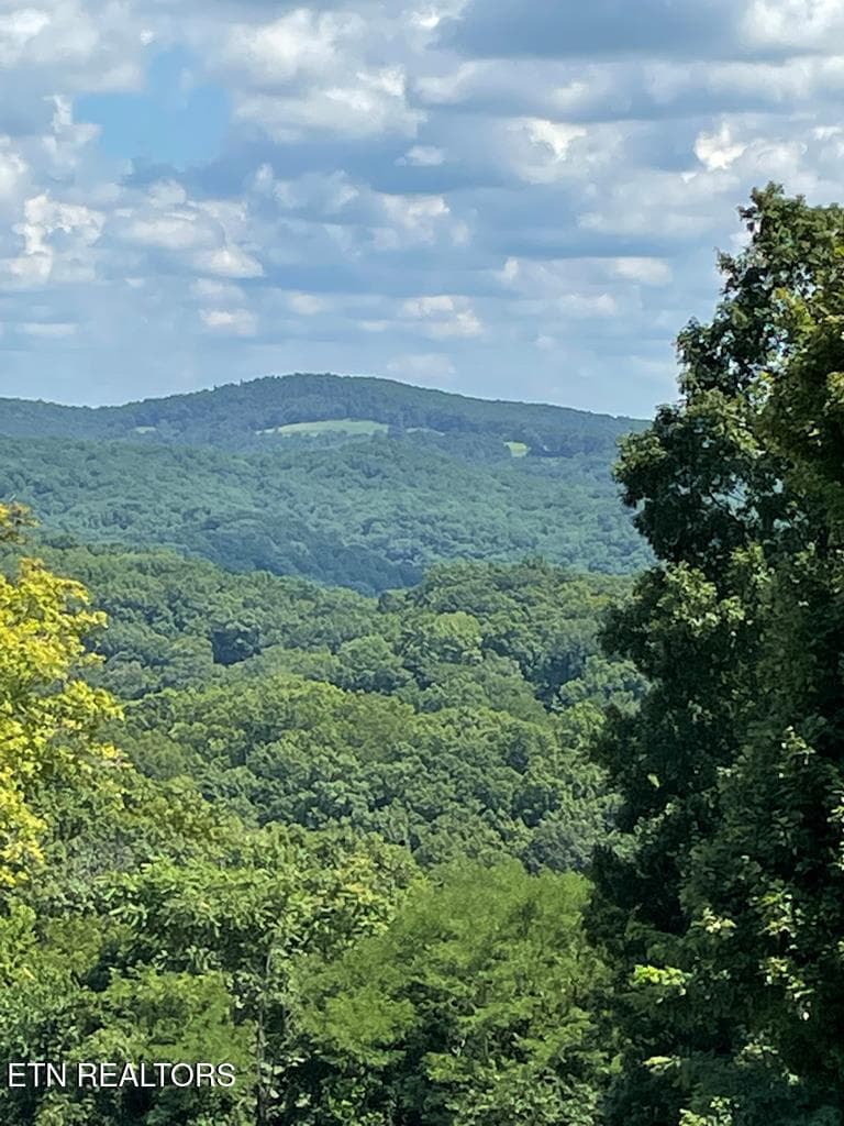 213376_8 - Lot 57A Goose Rd, Hilham, TN 38568, Hilham