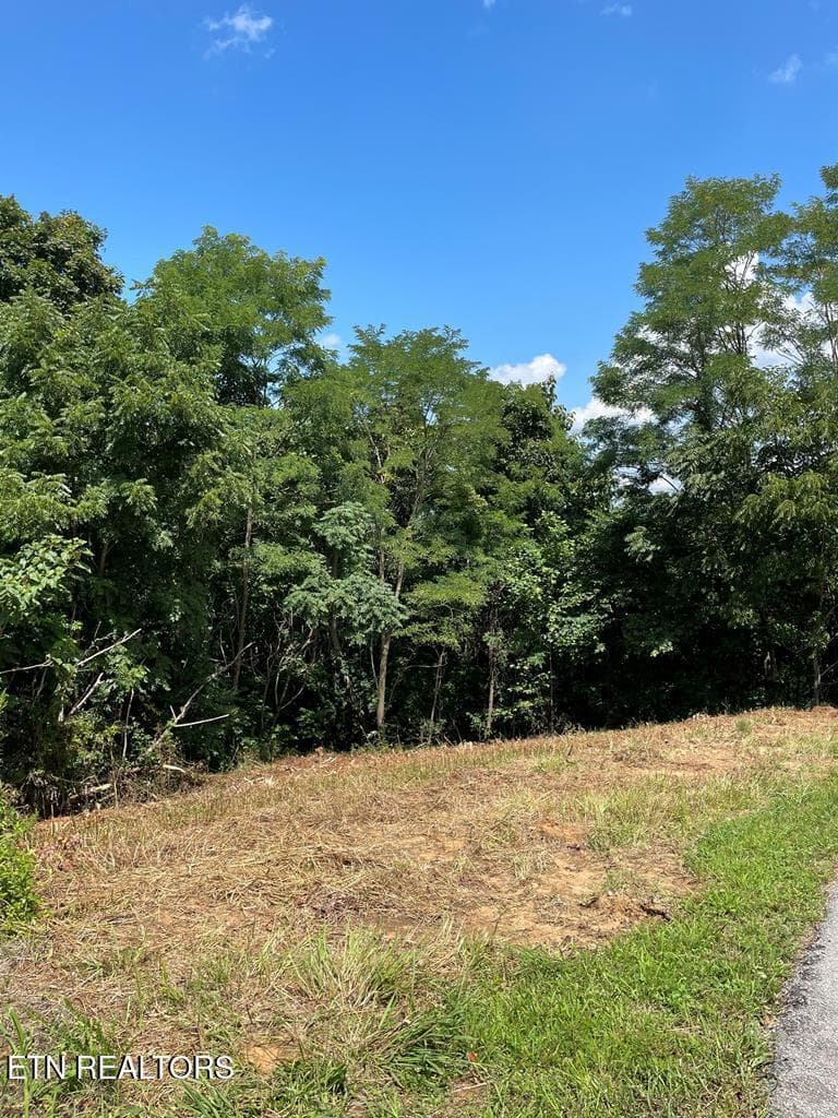 213376_10 - Lot 57A Goose Rd, Hilham, TN 38568, Hilham