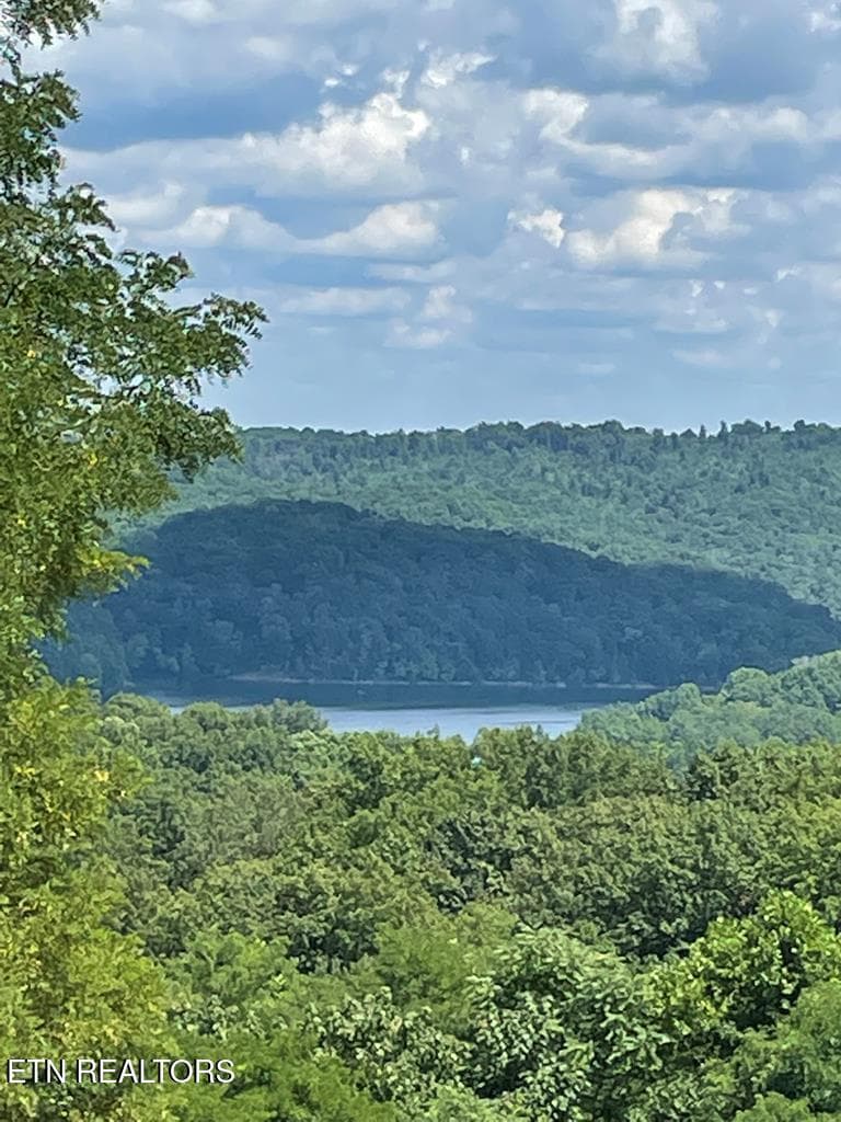 213376_11 - Lot 57A Goose Rd, Hilham, TN 38568, Hilham
