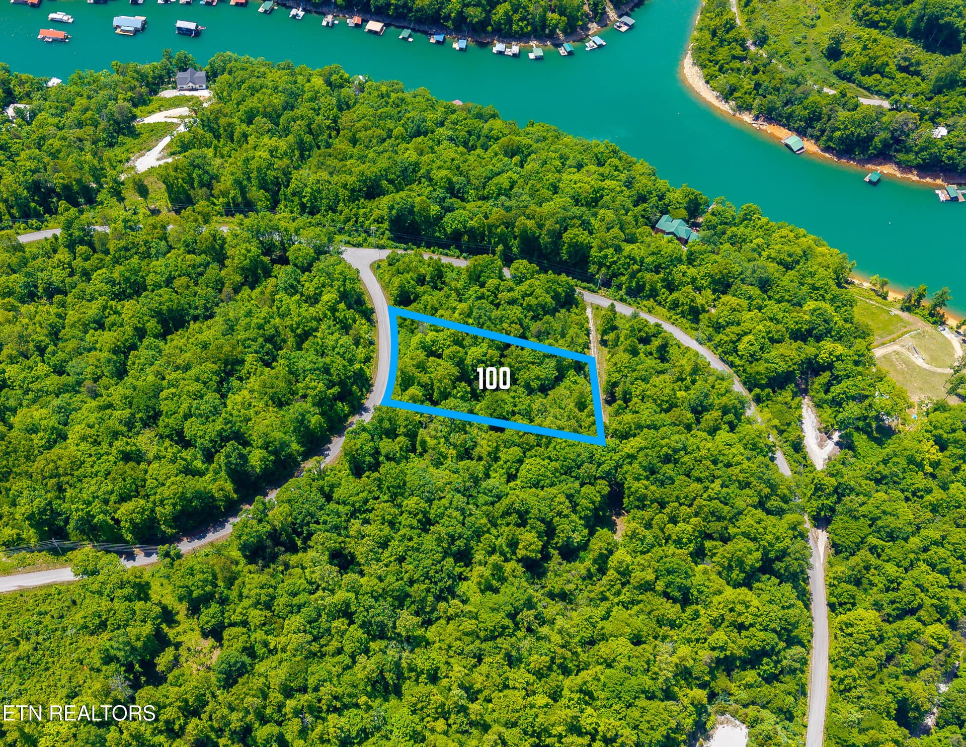 Lot 100 Saddleridge Drive, Speedwell, TN 37870