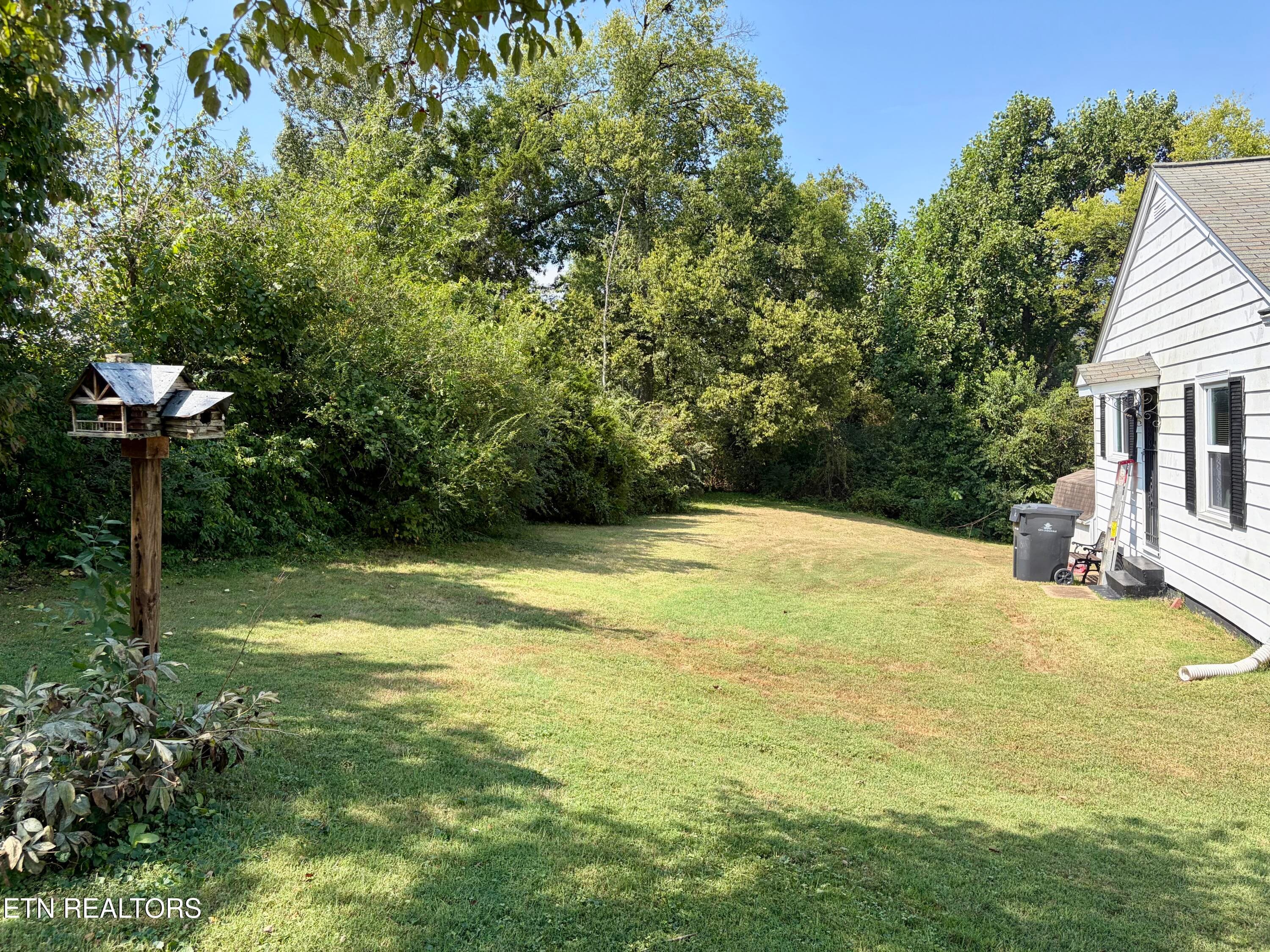 IMG_0255 2 - 317 Hartford Rd, Knoxville, TN 37920, Knoxville