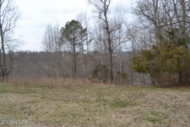 Lots 4 & 5 Fox Hill Rd, Baxter, TN 38544