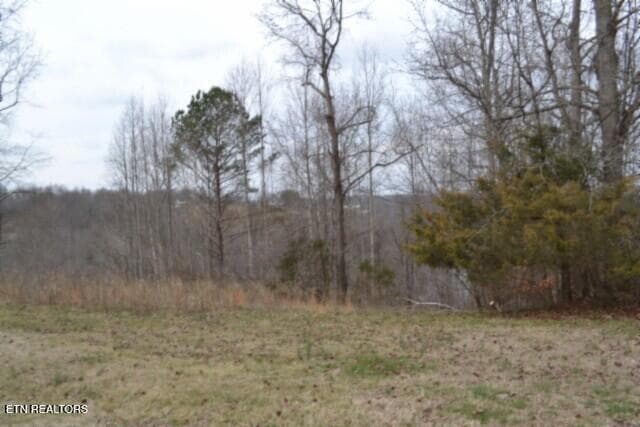 DSC_0003 - Lots 4 & 5 Fox Hill Rd, Baxter, TN 38544, Baxter