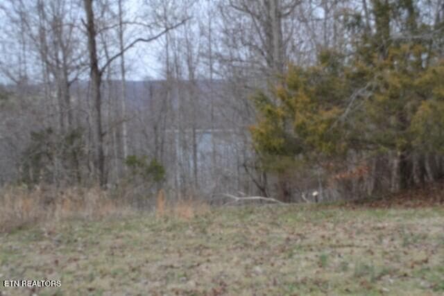 DSC_0006 - Lots 4 & 5 Fox Hill Rd, Baxter, TN 38544, Baxter