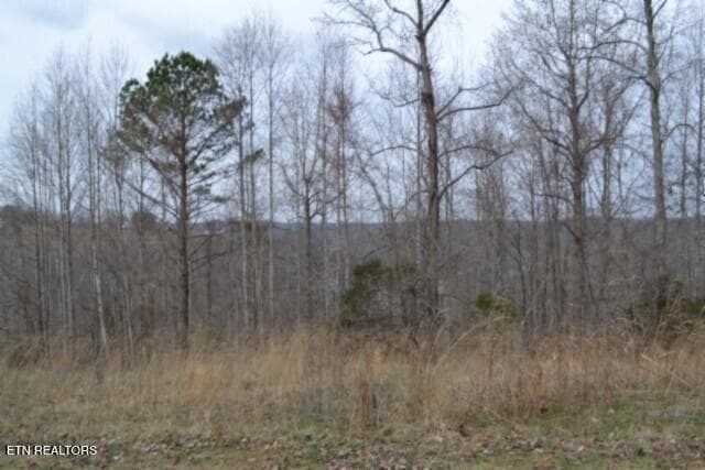DSC_0008 - Lots 4 & 5 Fox Hill Rd, Baxter, TN 38544, Baxter